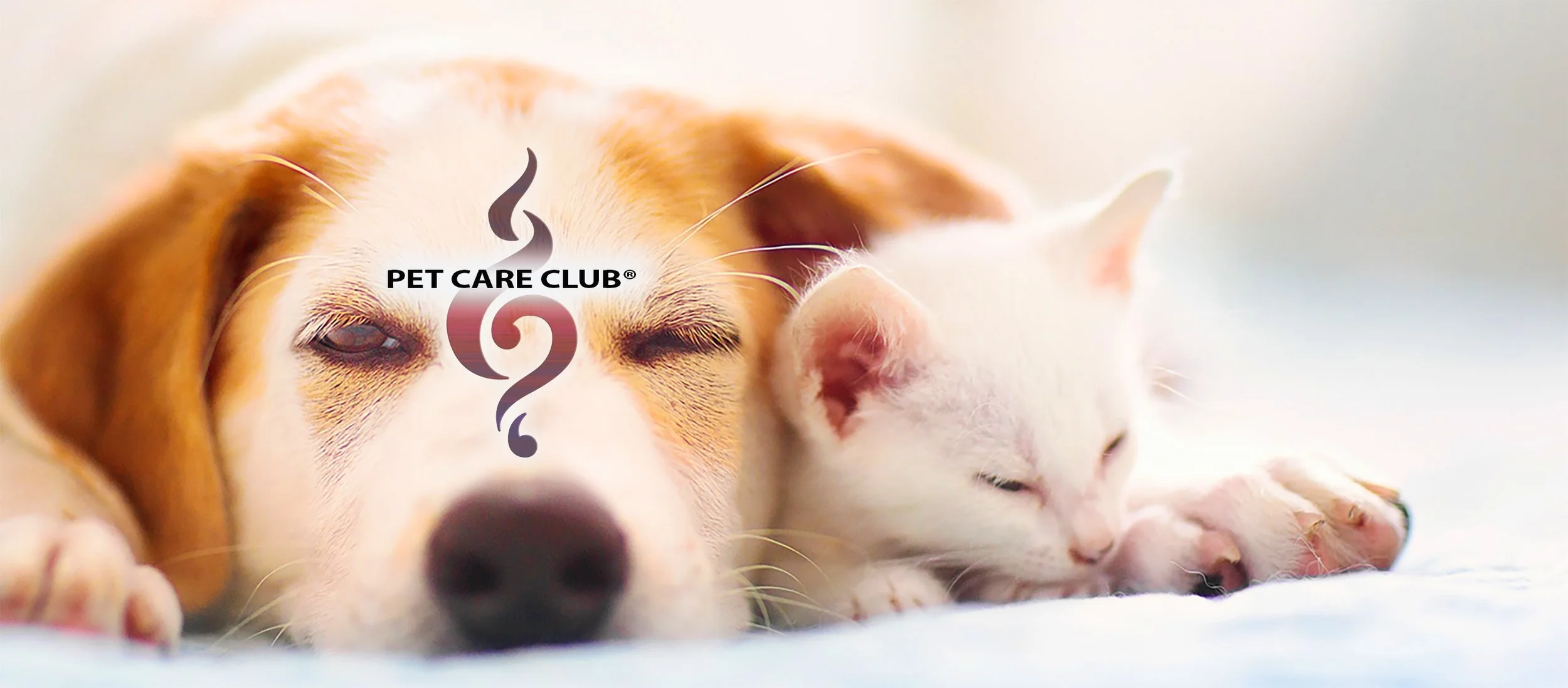 PET CARE CLUB.jpeg