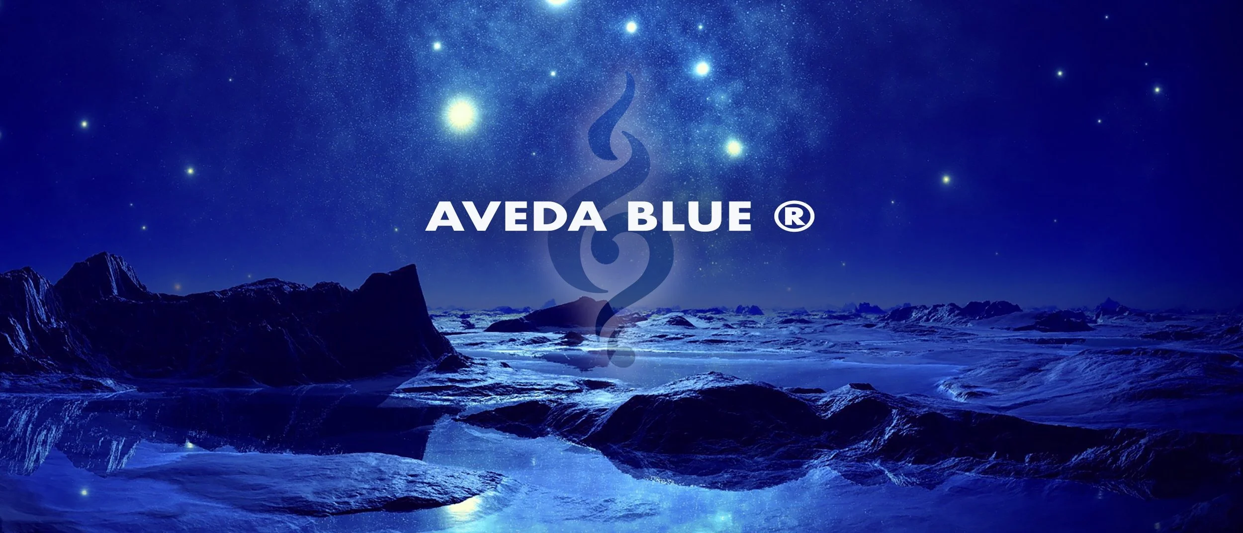 AVEDA BLUE SFA.jpeg