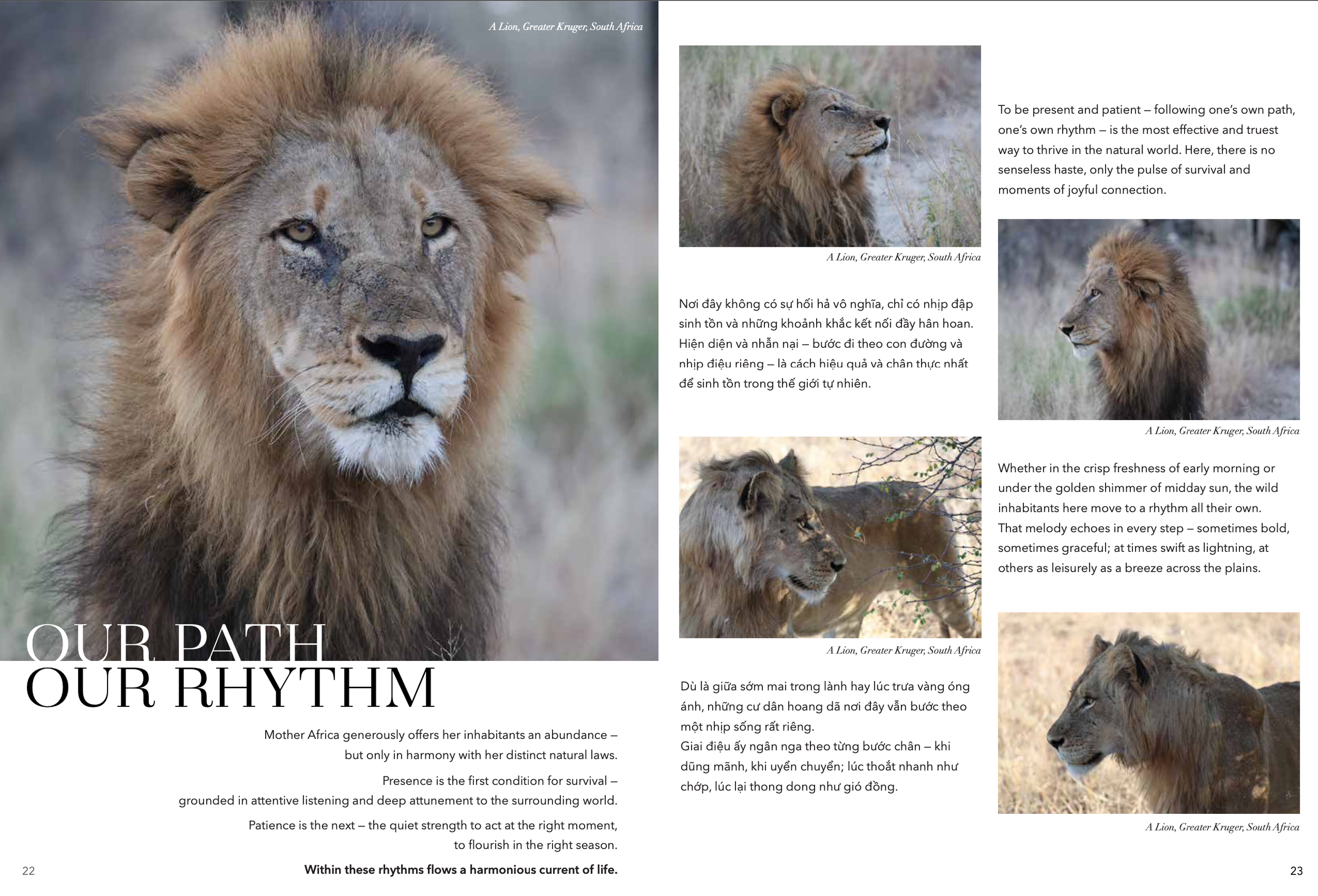 AFRICA IS HOME 22-23.png