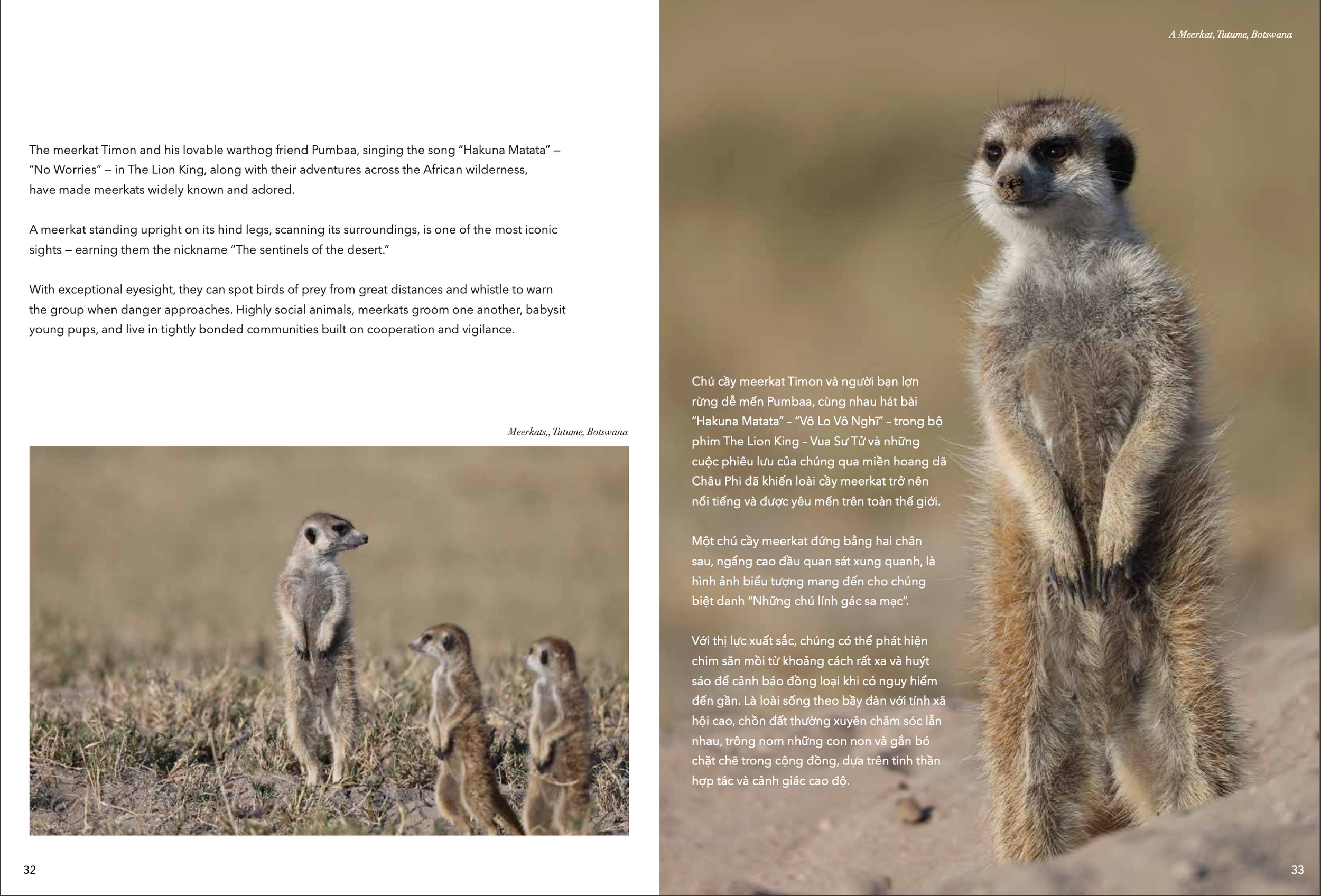 AFRICA IS HOME 32-33.png