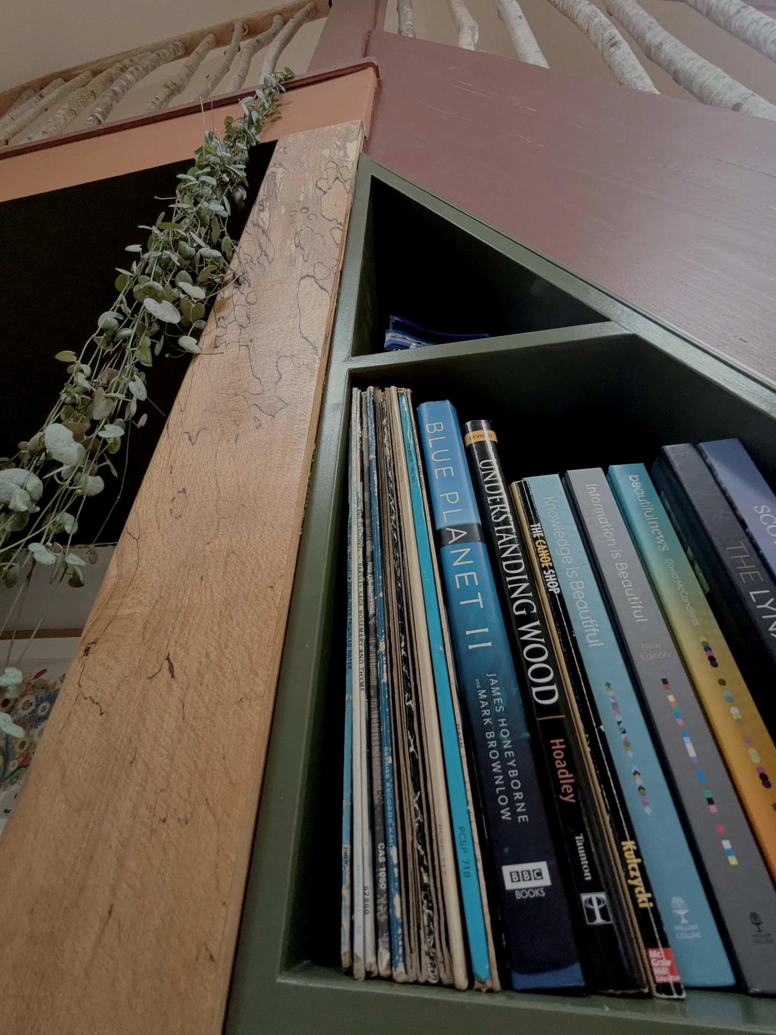 Close-up of a bookshelf with several books, including 'Blue Planet II' and 'Understanding Wood', next to a wooden cabinet with a plant hanging from the top.