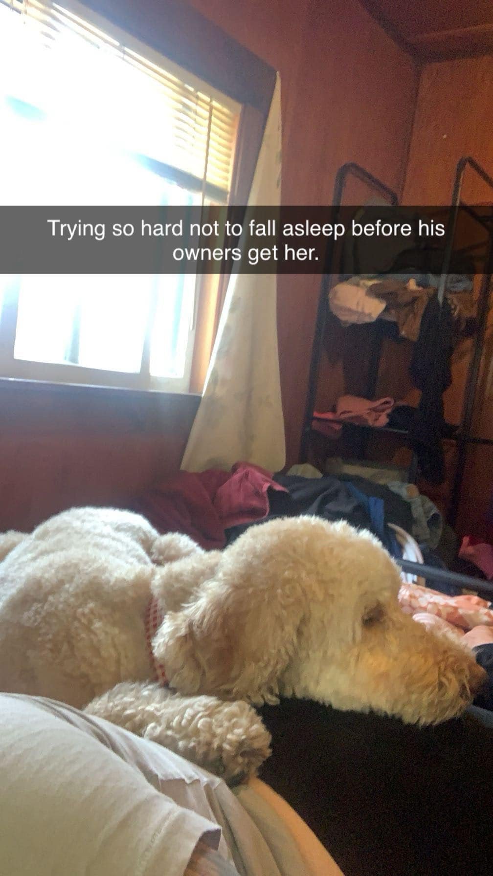 NAP TIME.jpg