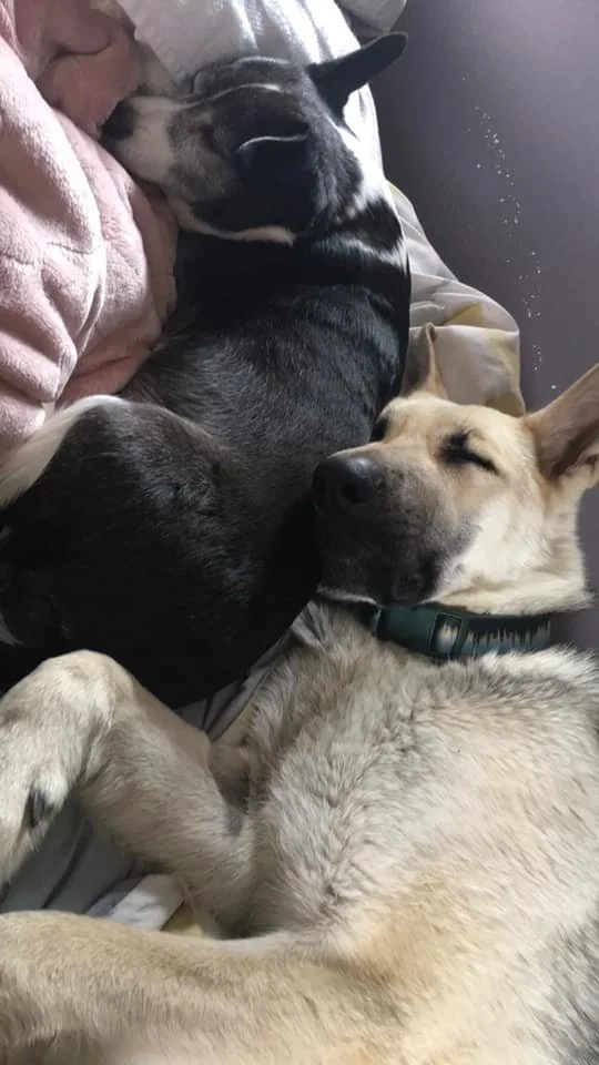 snuggles.jpg