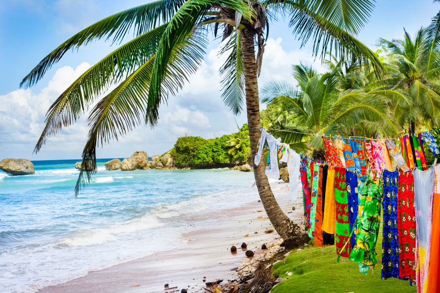 Idyllic beach with turquoise water and palm trees in Barbados