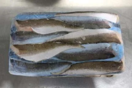 Whiting Fish Slabs