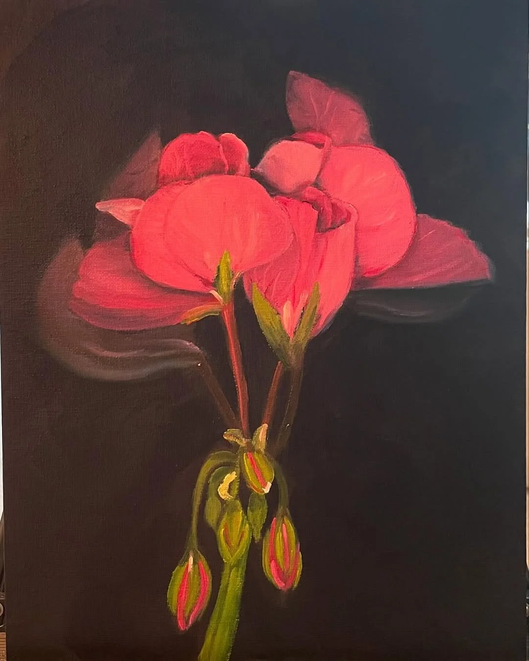 A painting of a pink flower with several buds, set against a black background.