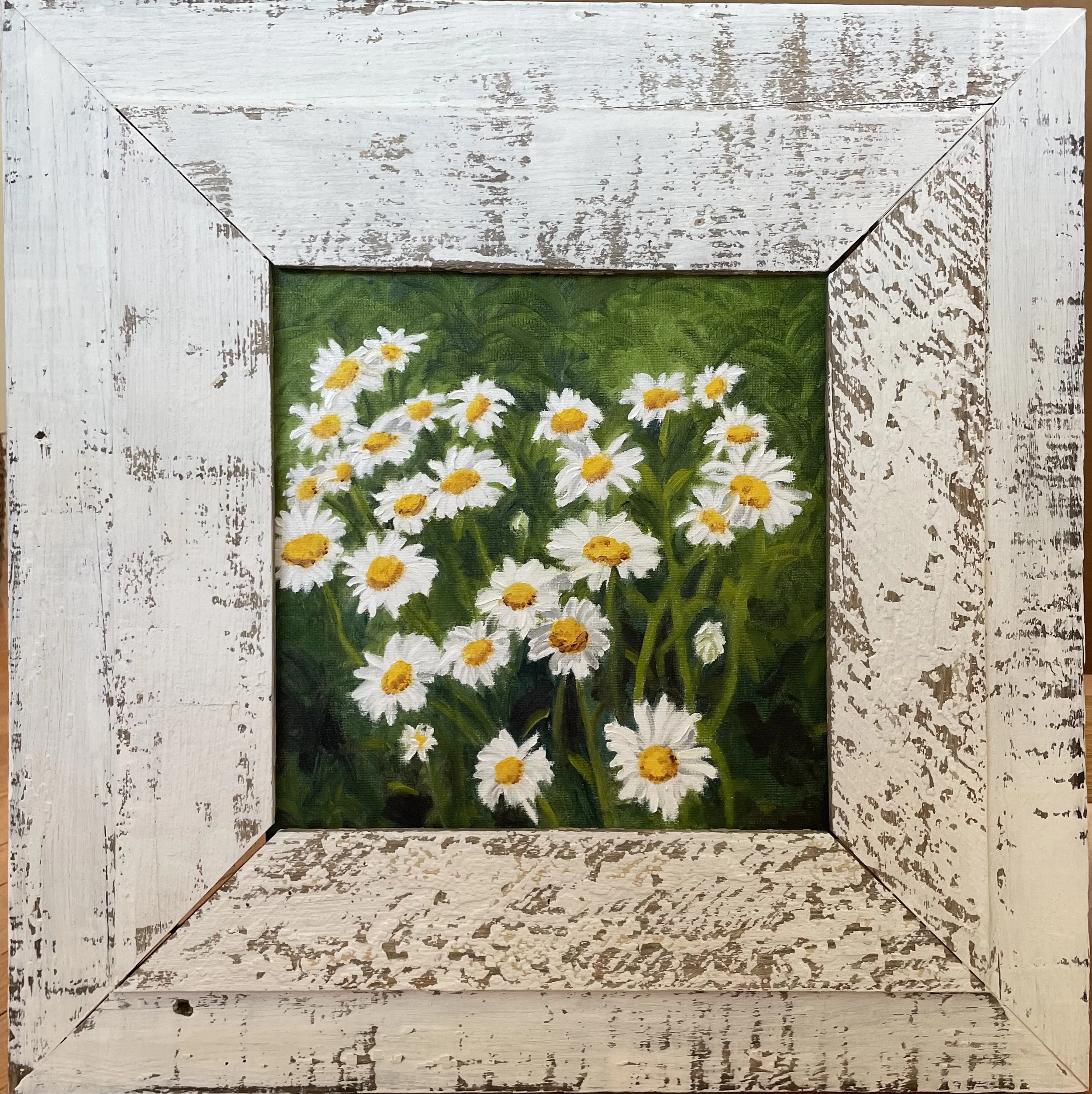 Summer Daisies, Oil, 22x22 framed