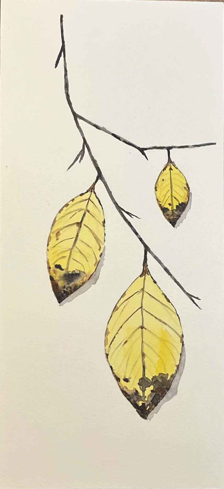 Preparing for Winter Watercolor 5x12 $175