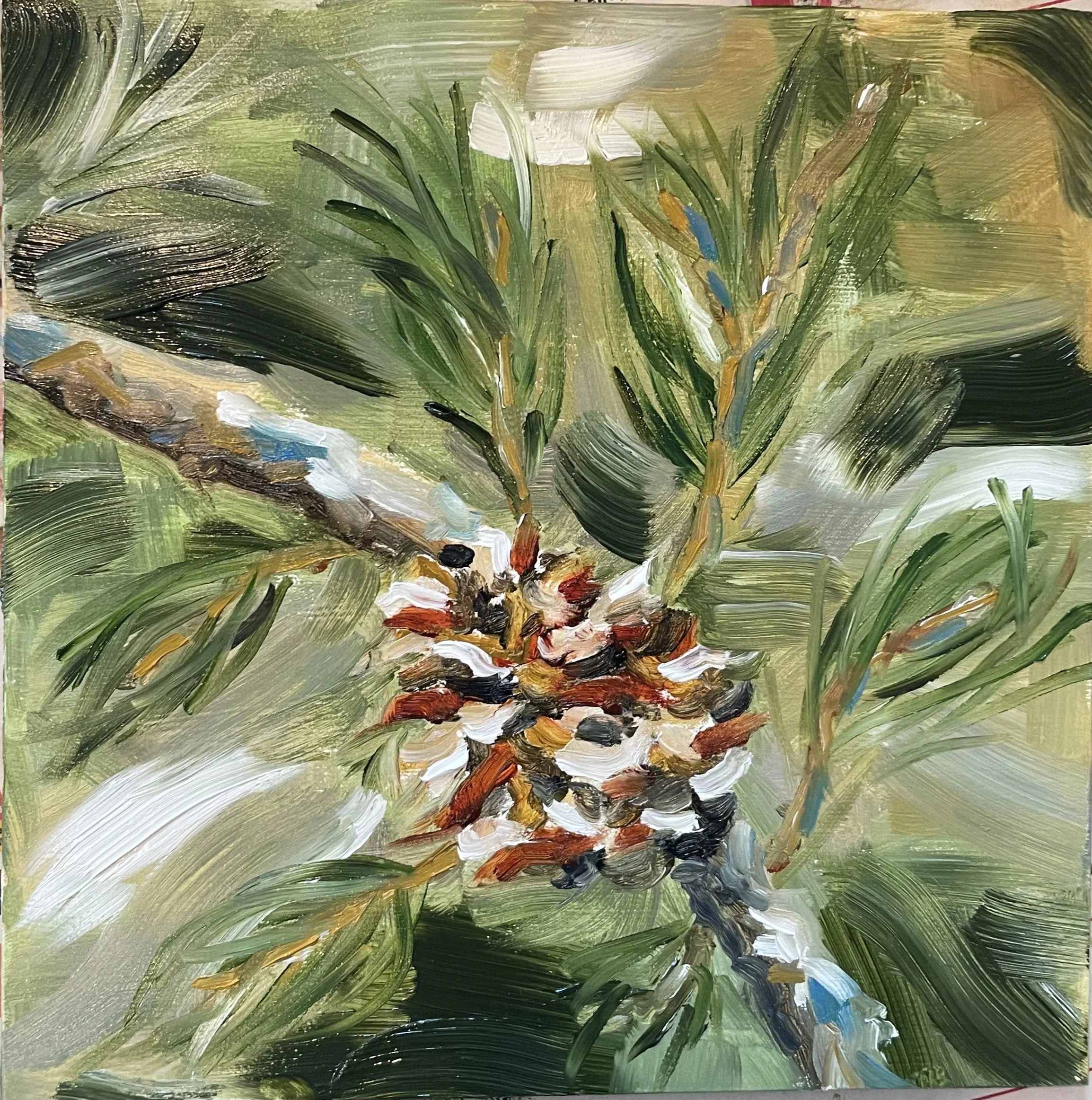 Pinecone Oil 8x8 $150
