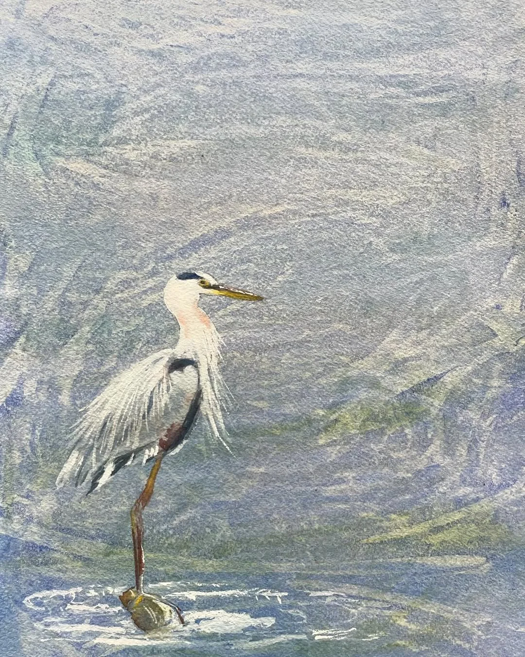 A watercolor painting of a heron standing on one leg in shallow water surrounded by reeds and tall grasses.