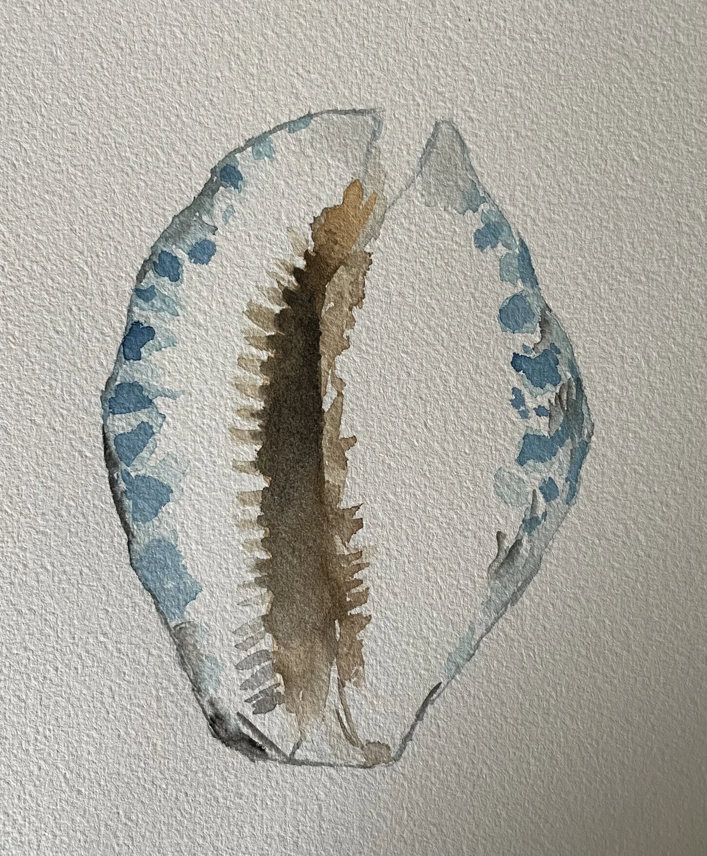 Blue Shell Watercolor 8x10 $70