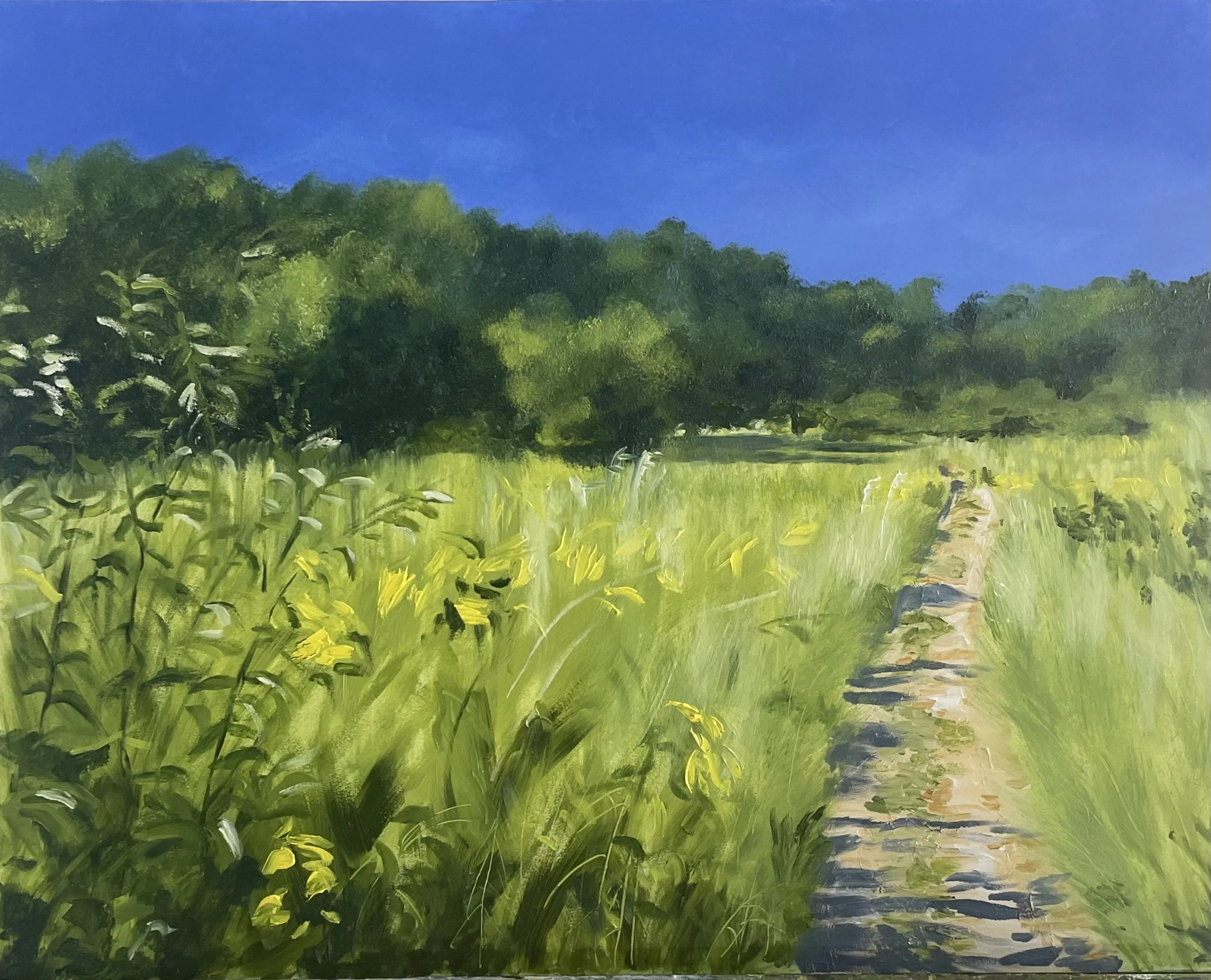 The Search for Lucidity