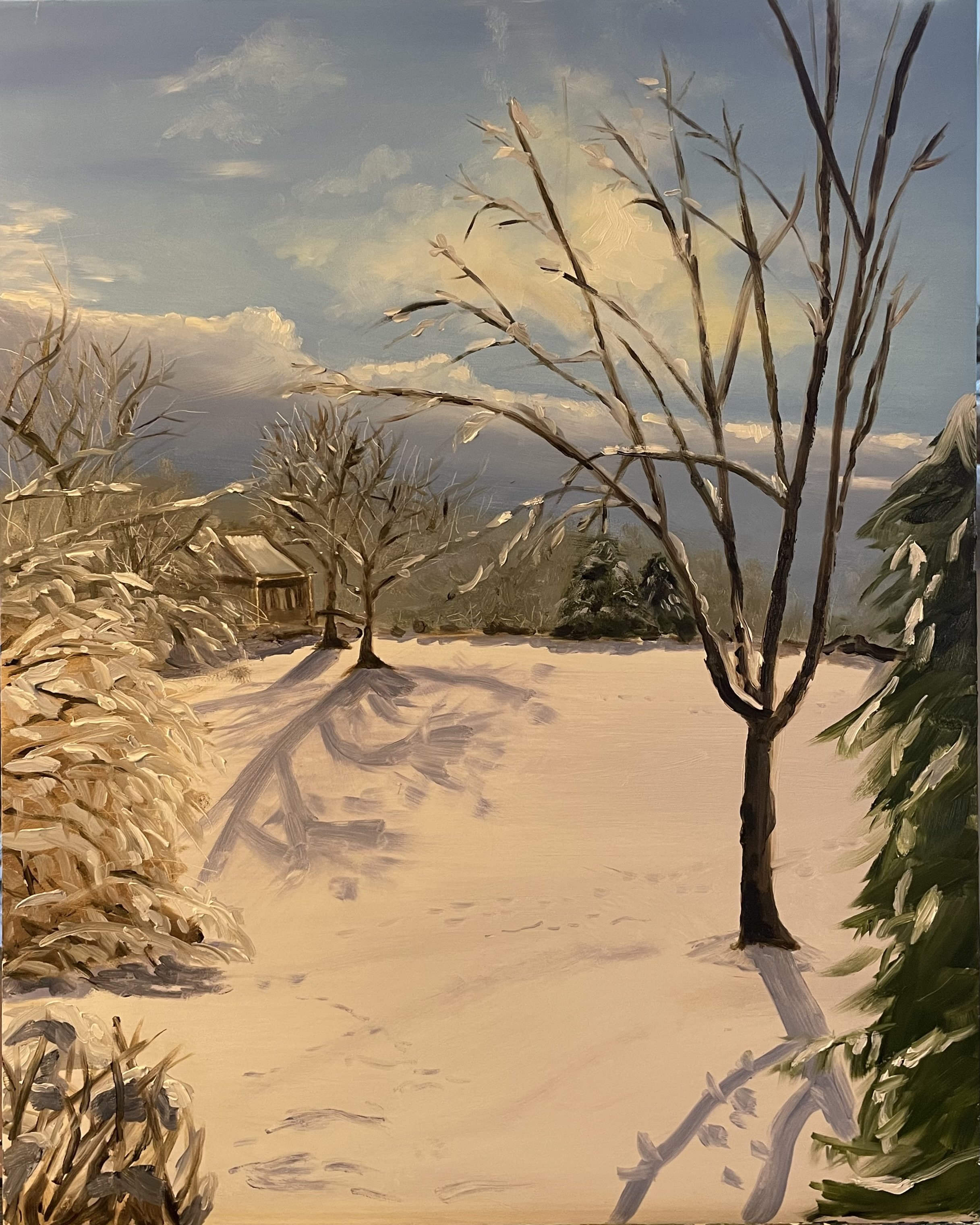 A snowy winter landscape with leafless trees, a small wooden structure, and snow-covered bushes under a partly cloudy sky.
