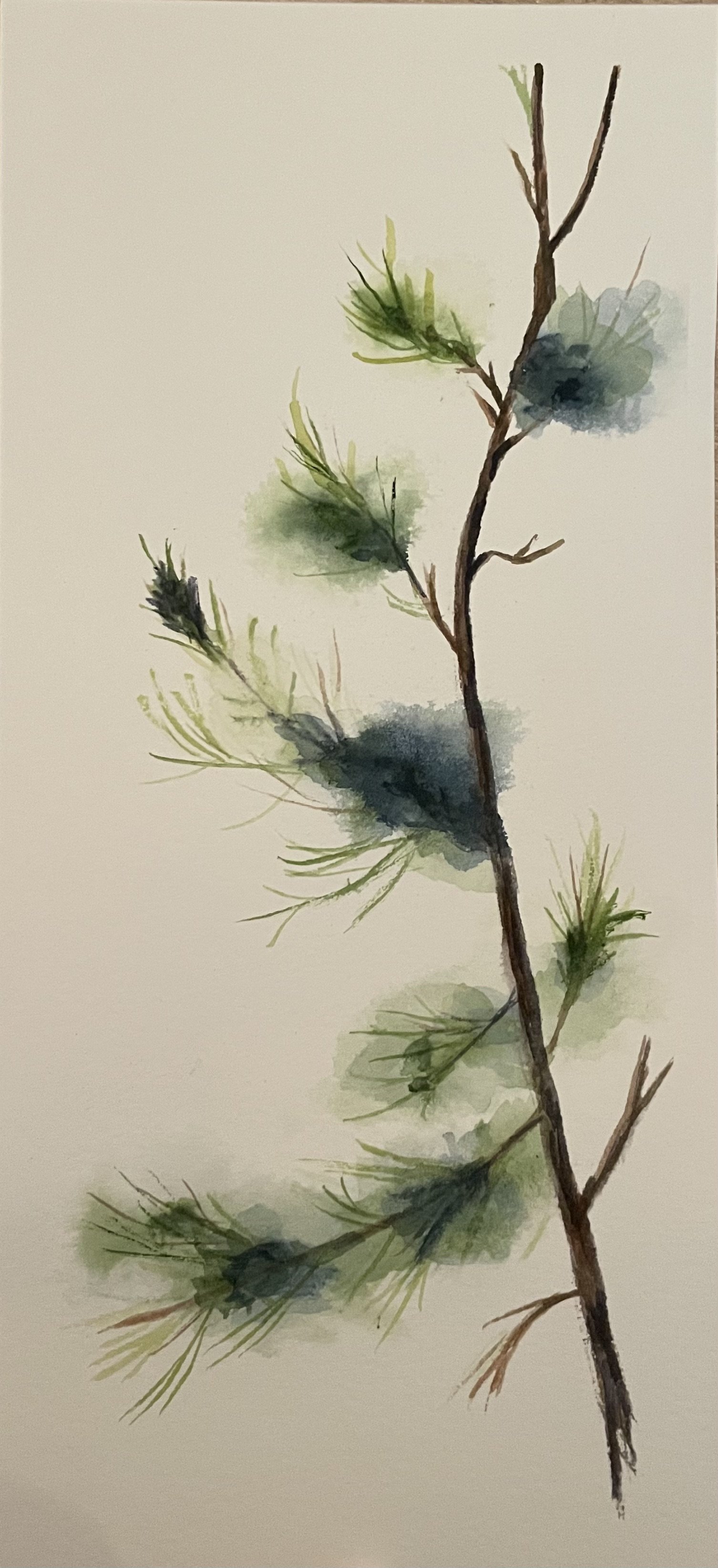 Evergreen Sprig Watercolor 5x12 $175