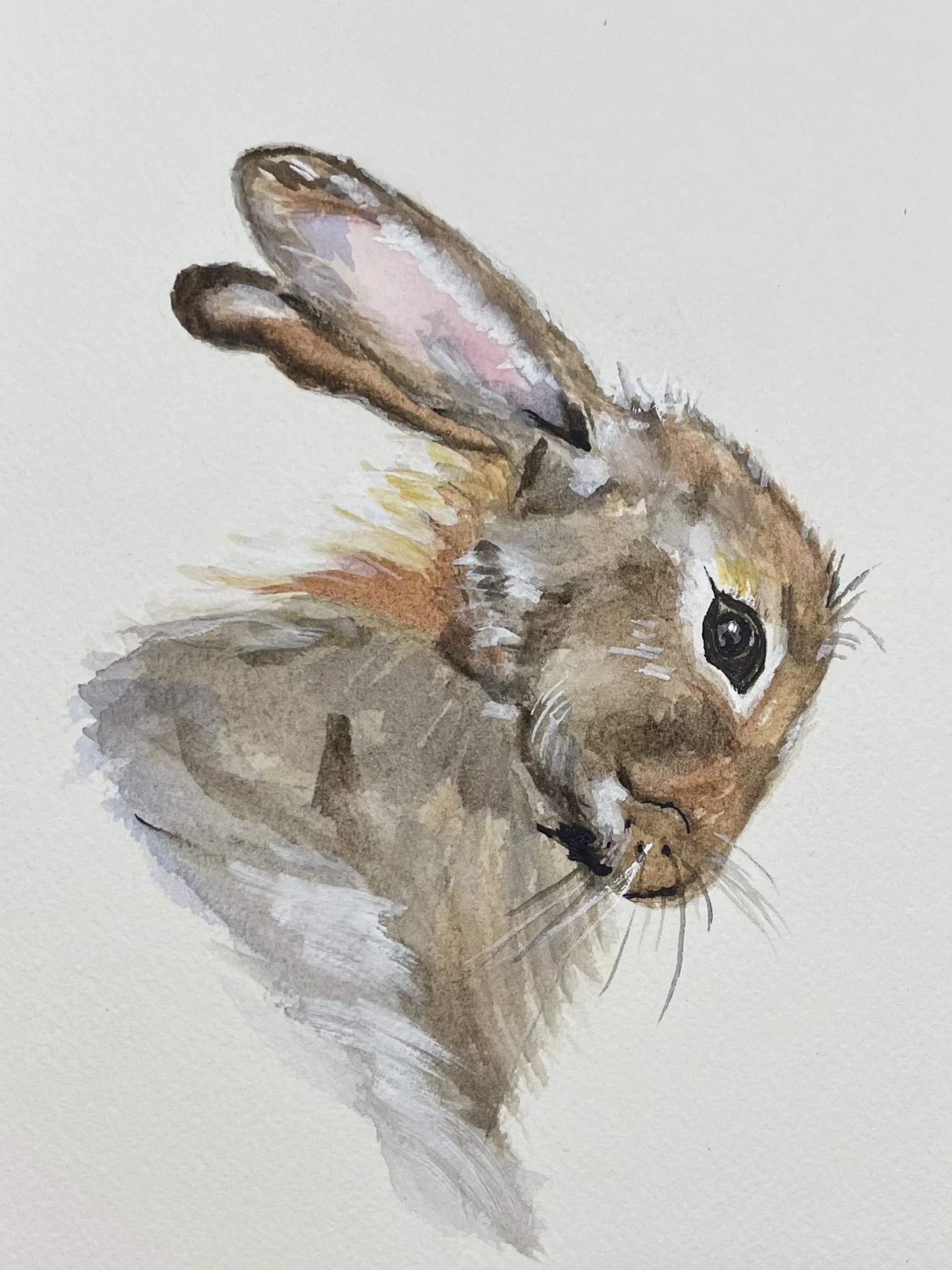 Pensive 5x8 Watercolor