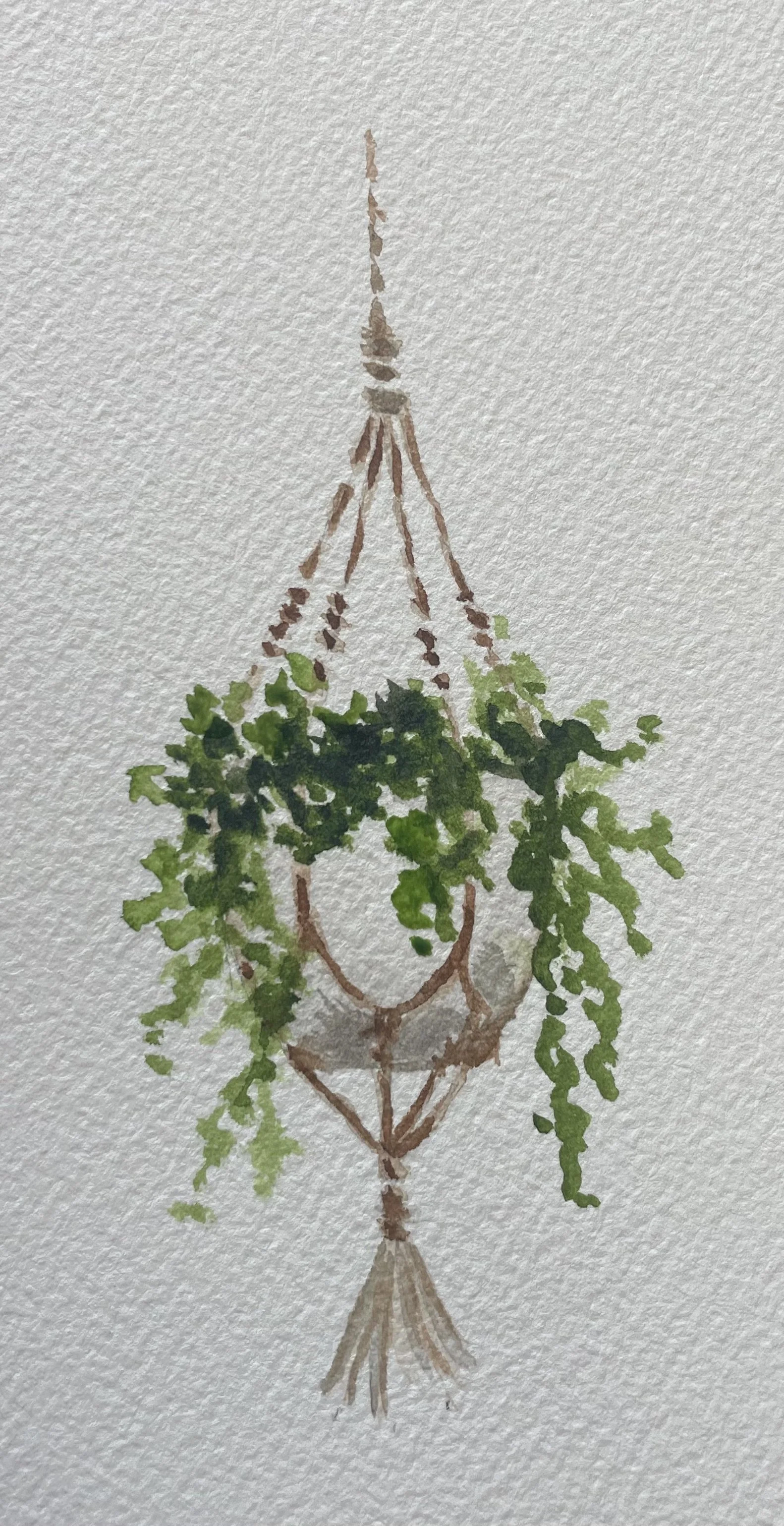Hanging Plant Watercolor 5x7 $70
