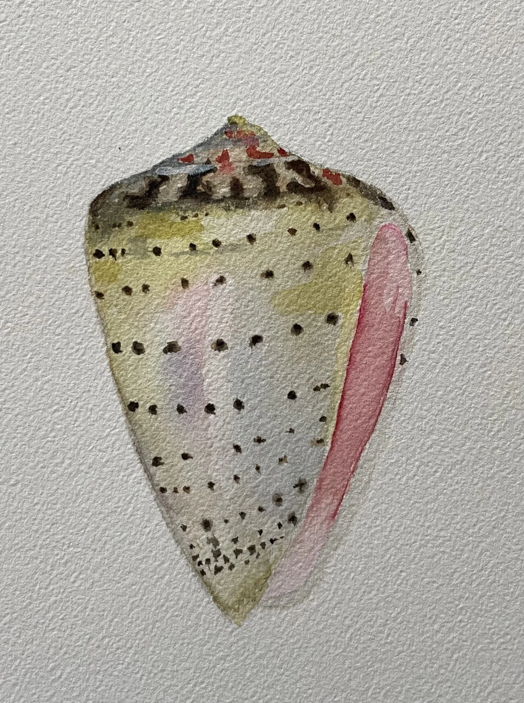 Pink Shell Watercolor 8x10 $70