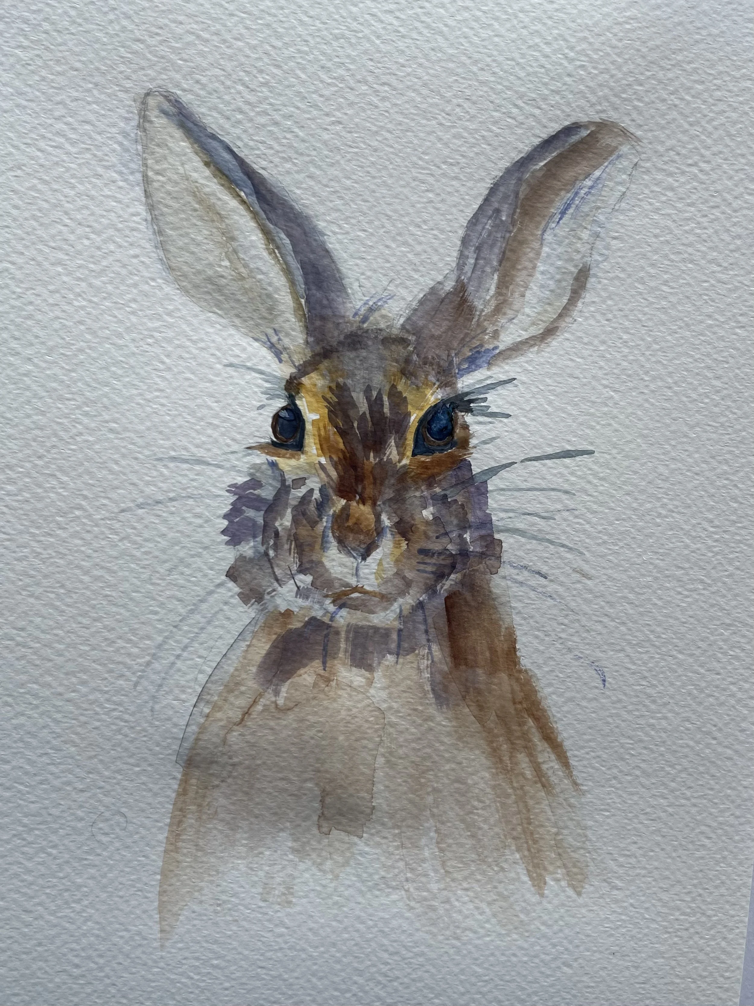 Watercolor painting of a hare with large ears and blue eyes, facing forward.