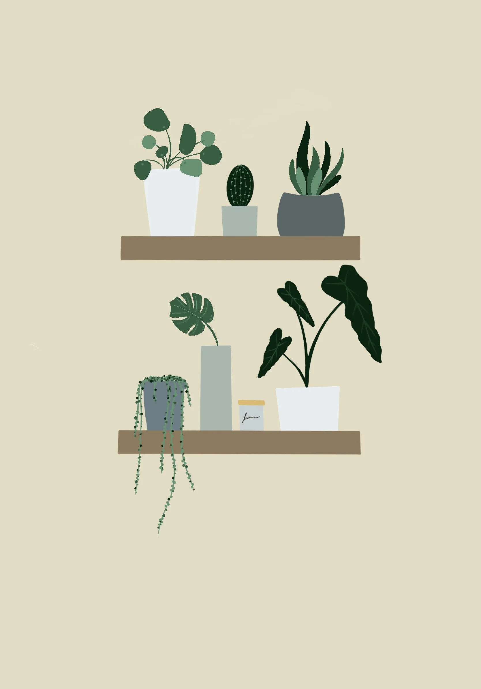 Illustration de plantes en pots sur deux étagères contre un mur beige.