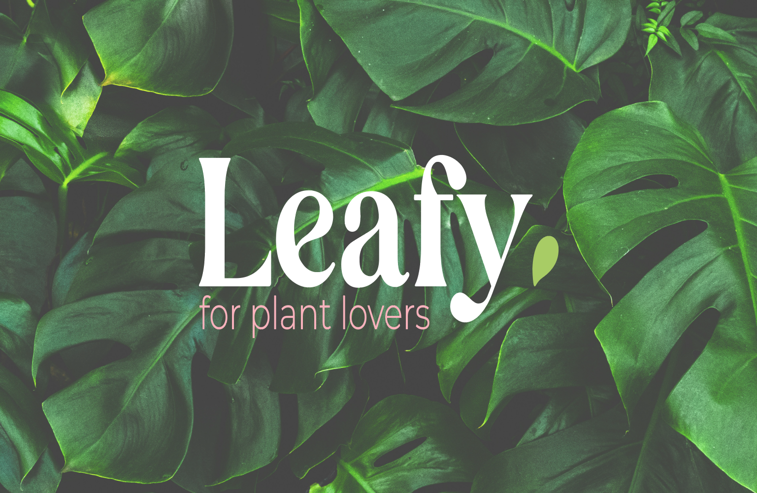 Fond vert de feuilles de monstera avec le texte blanc 'Leafy' et en dessous 'for plant lovers' en rose pâle.