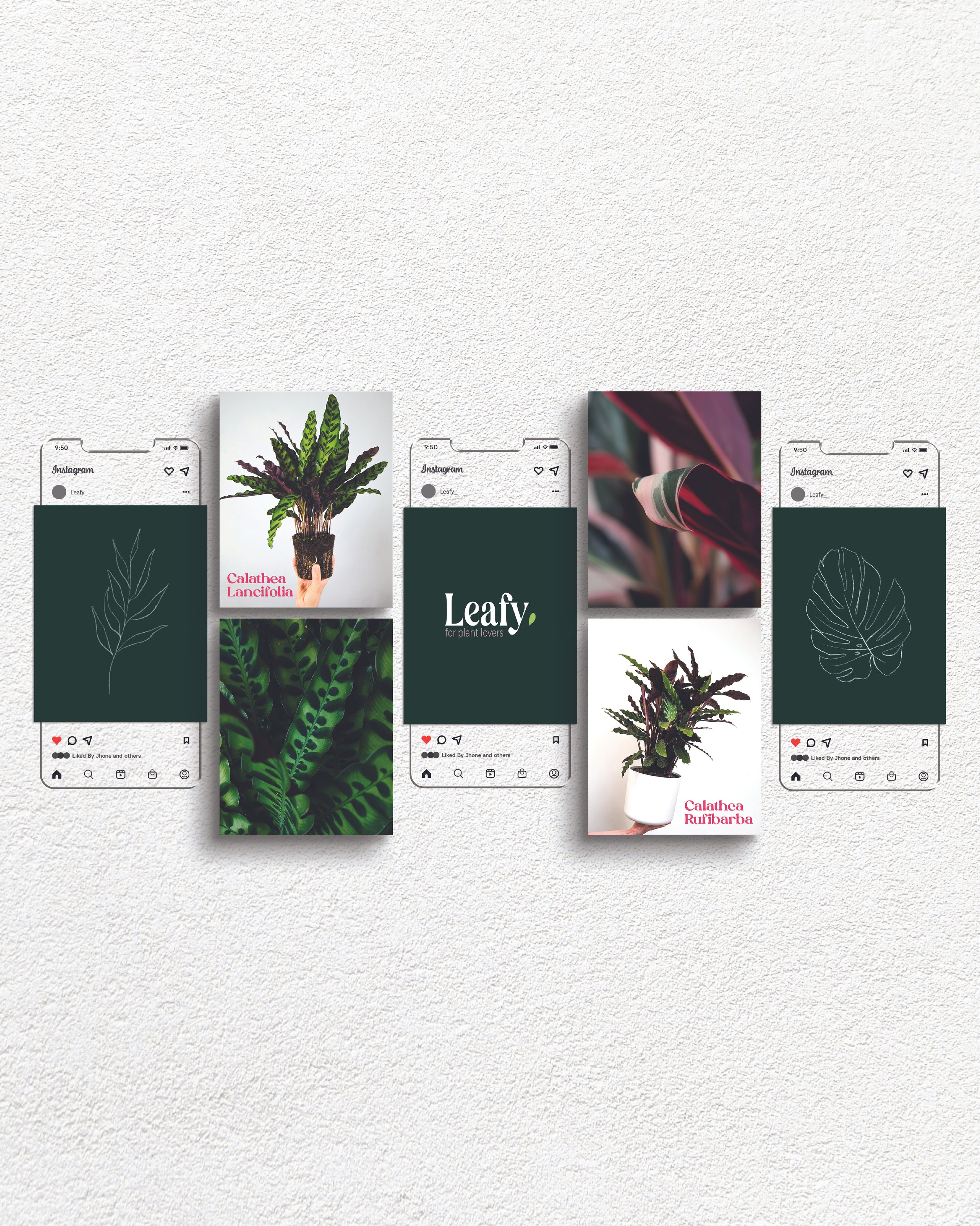 Simulation post Instagram Leafy