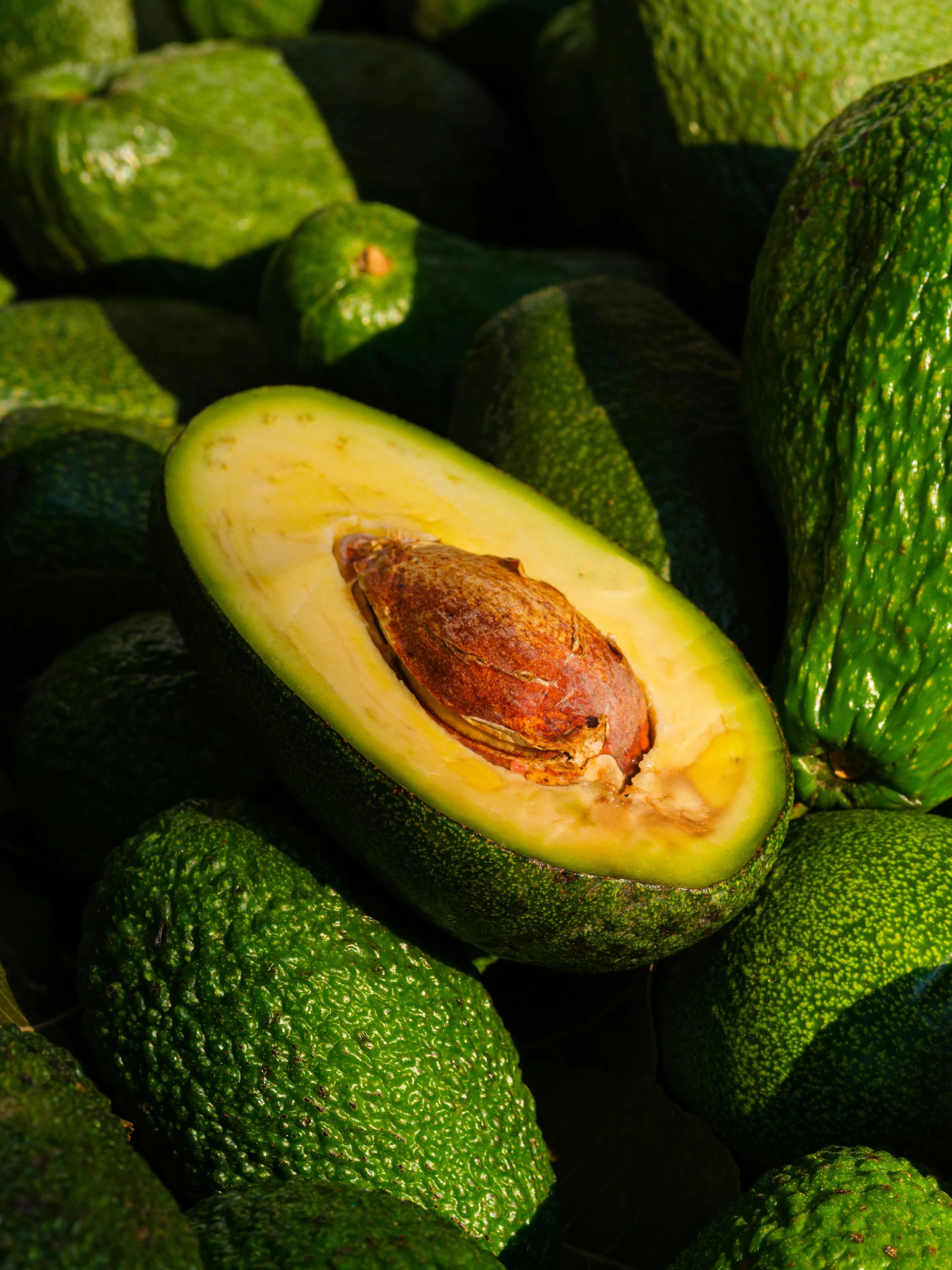 Effects of replacing solid fats and added sugars with avocado in adults with elevated cardiometabolic risk: A randomized, double-blind, controlled feeding, crossover trial
