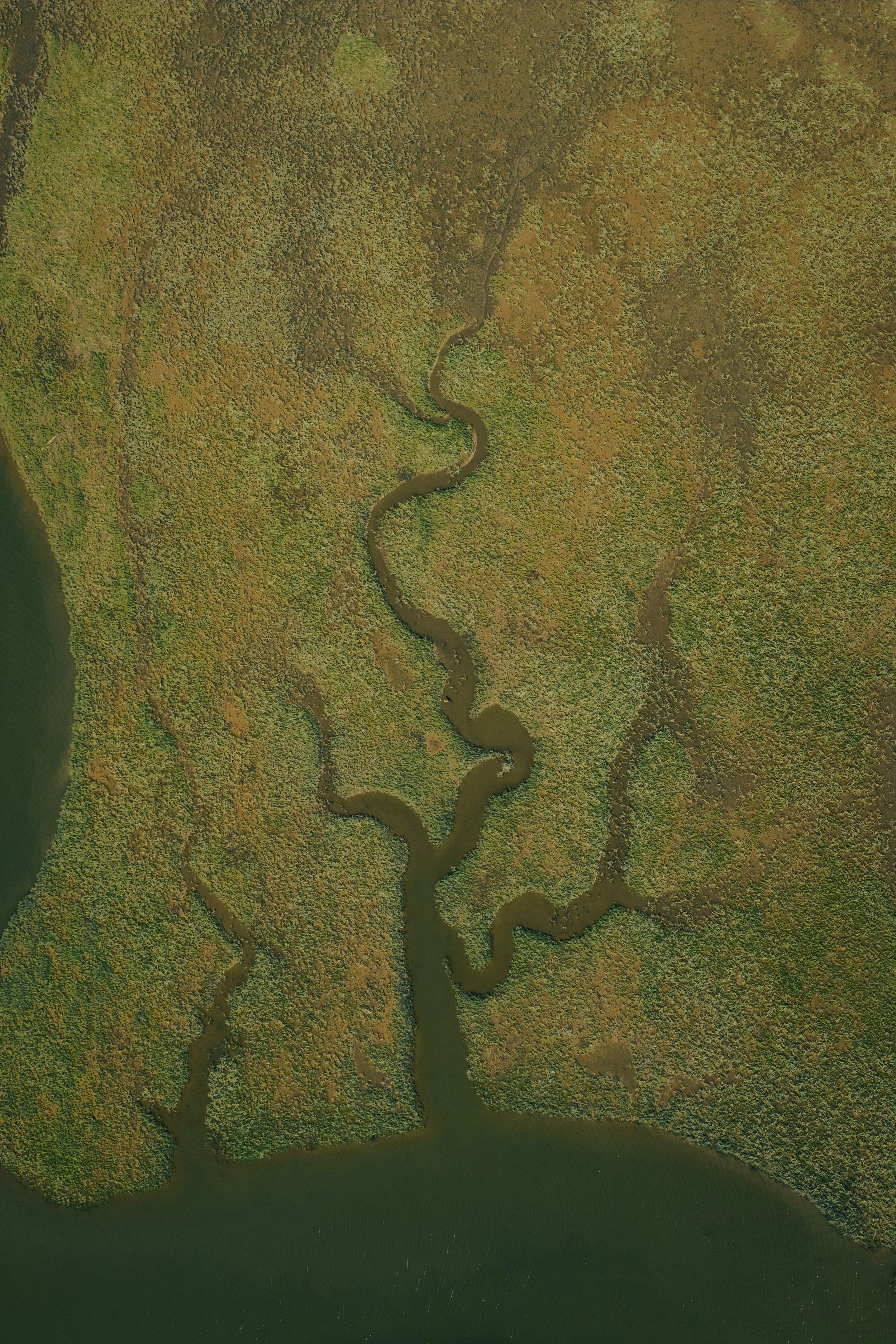Vue aérienne d'une rivière serpentant à travers une forêt dense et colorée.