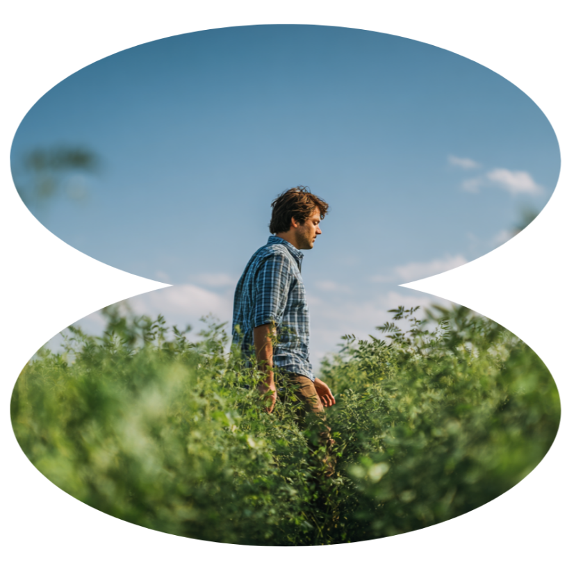 Man wearing blue plaid shirt and jeans walking in field