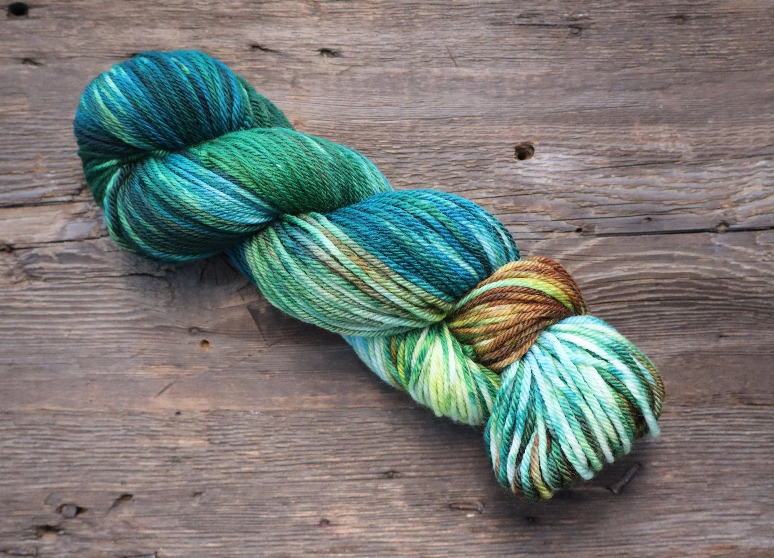 California Redwood Forest