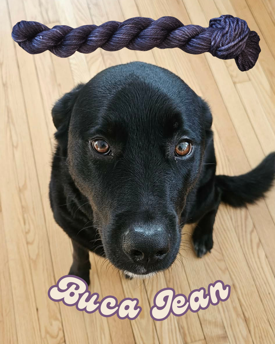 A black dog with brown eyes sitting on a wooden floor, with a black mini skein of yarn above her head and the text 'Bucca Jean' in purple and white at the bottom.