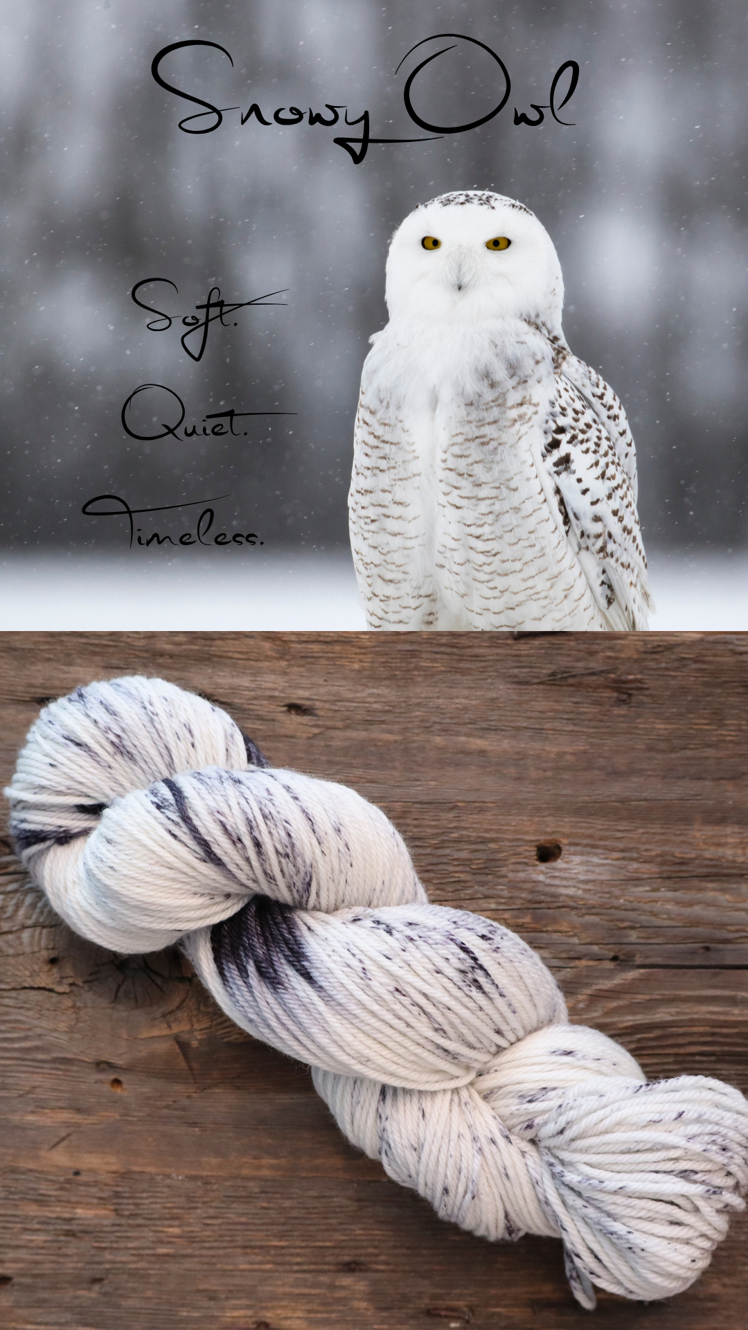 Snowy Owl