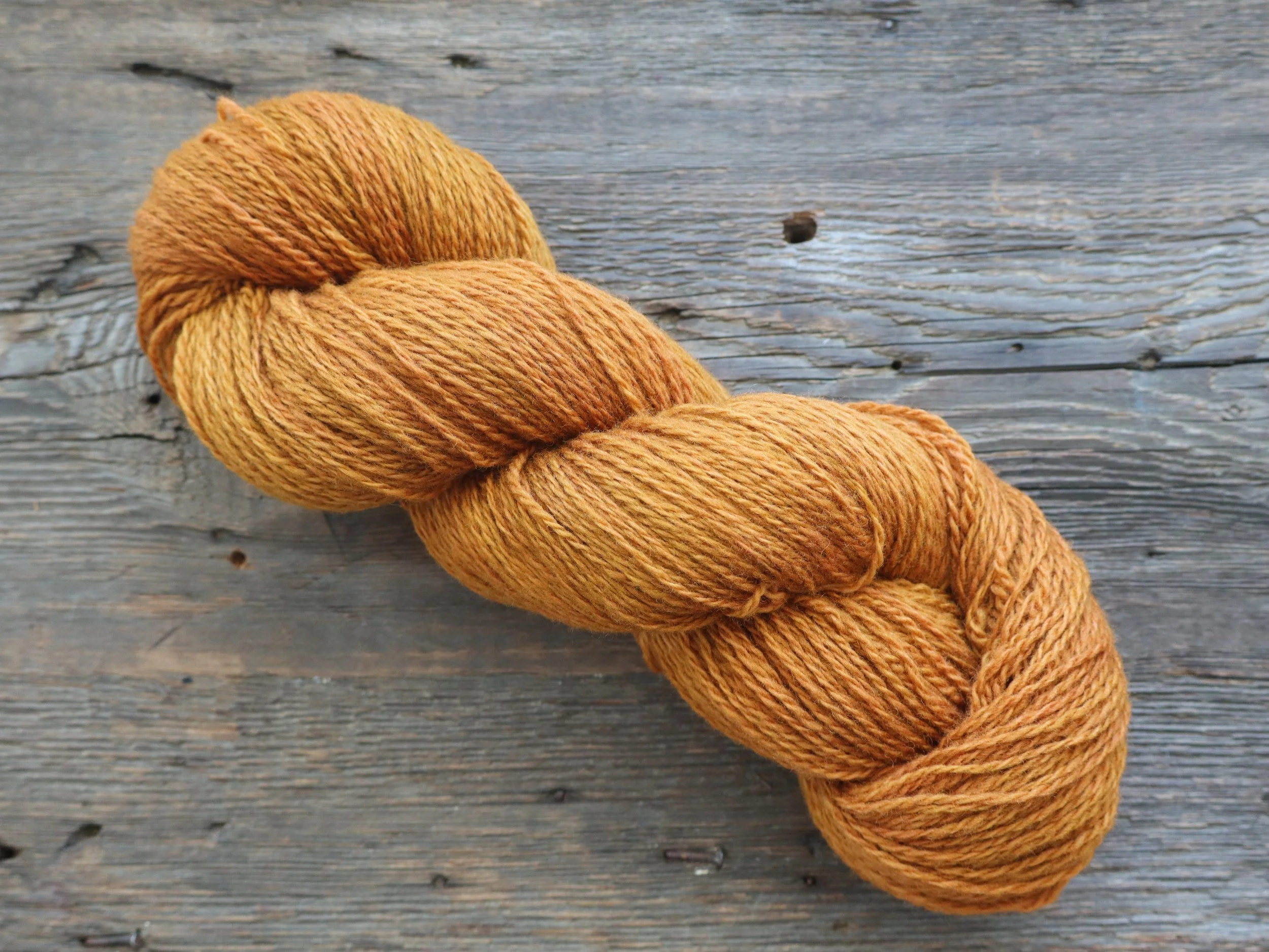 Hapgood Forest Floor- Non-Superwash