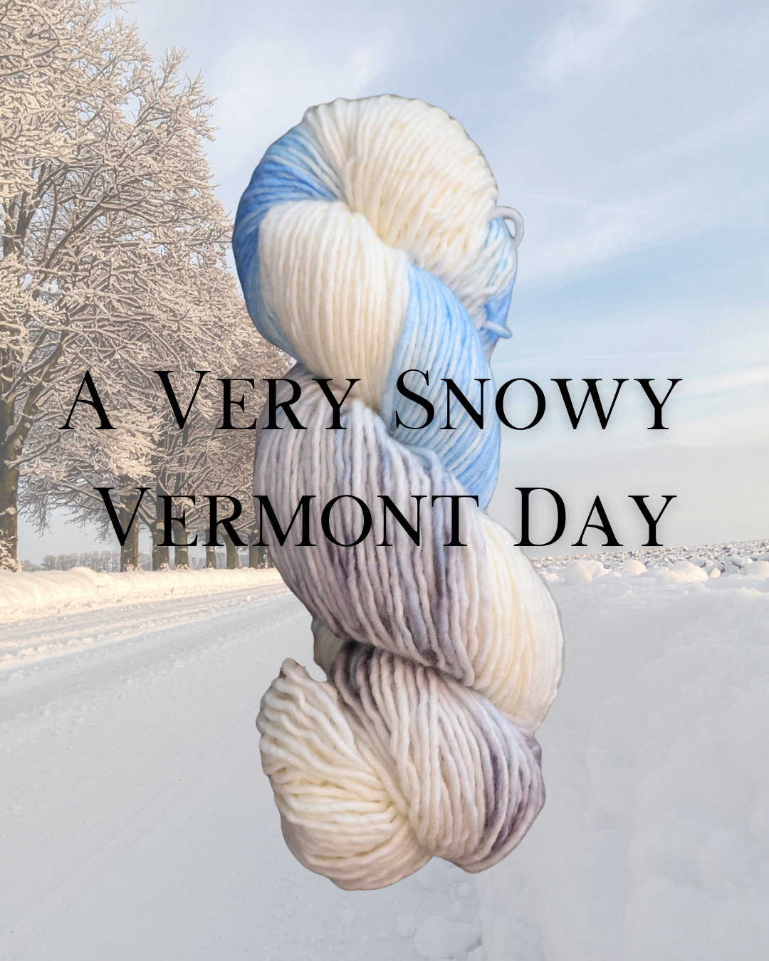 A Very Snowy Vermont Day - Worsted