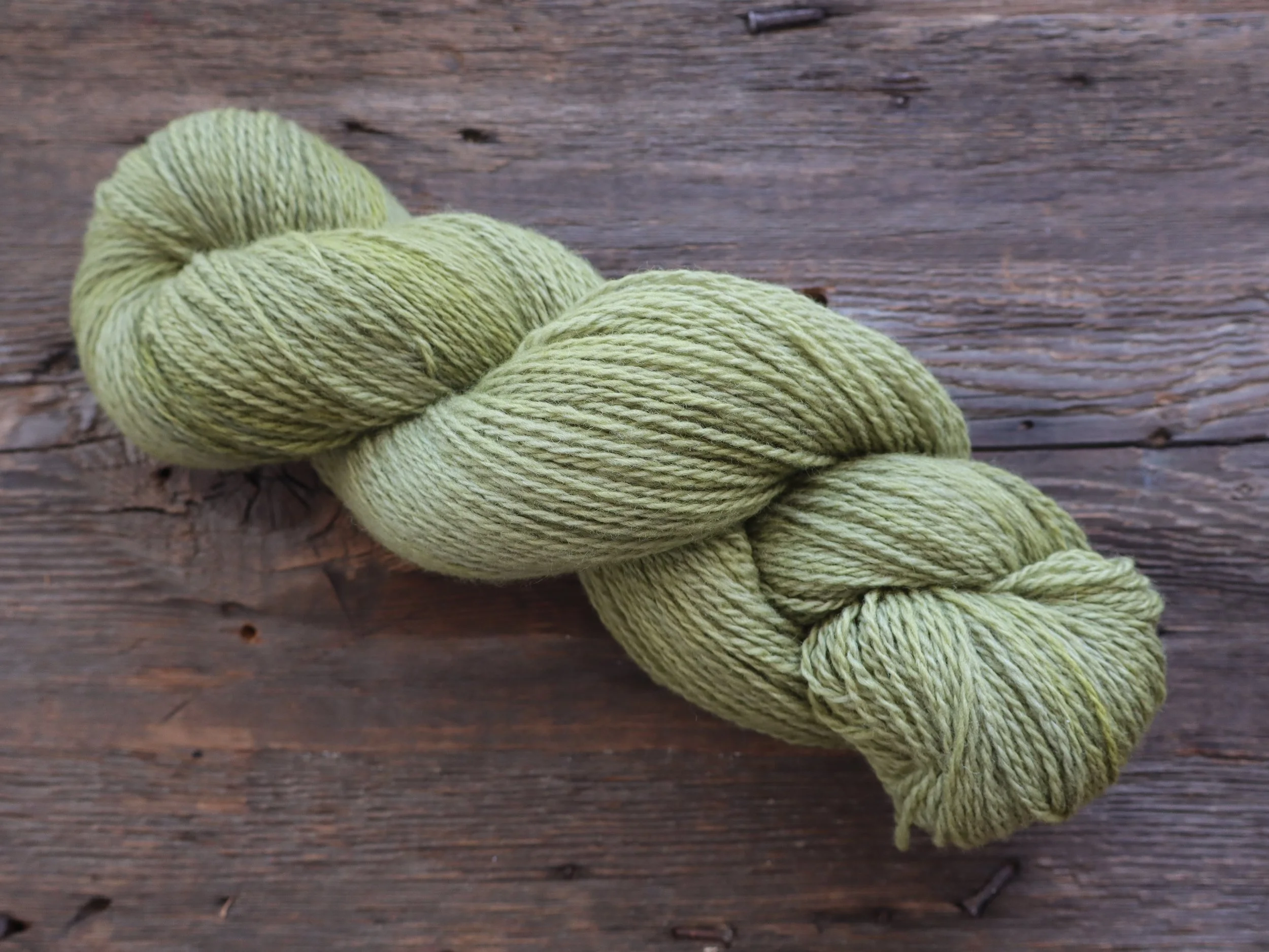 Moss on Styles Peak - Non-Superwash