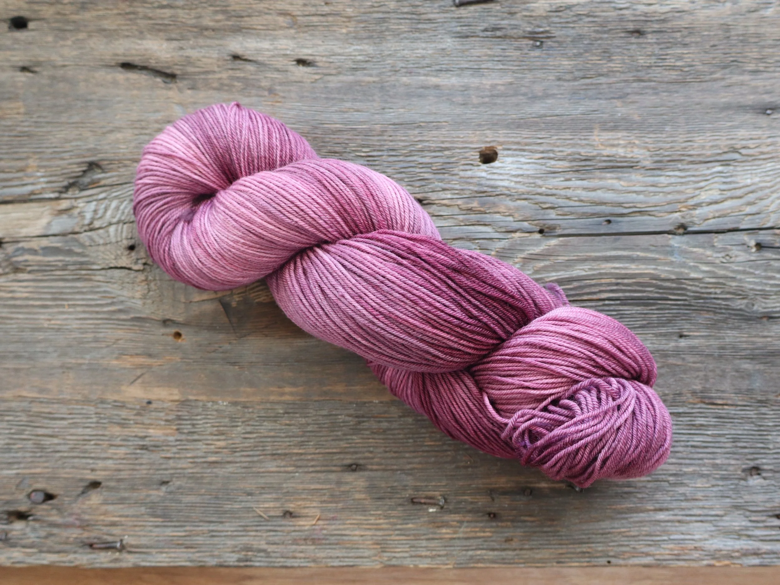 Long Trail Trillium - Superwash