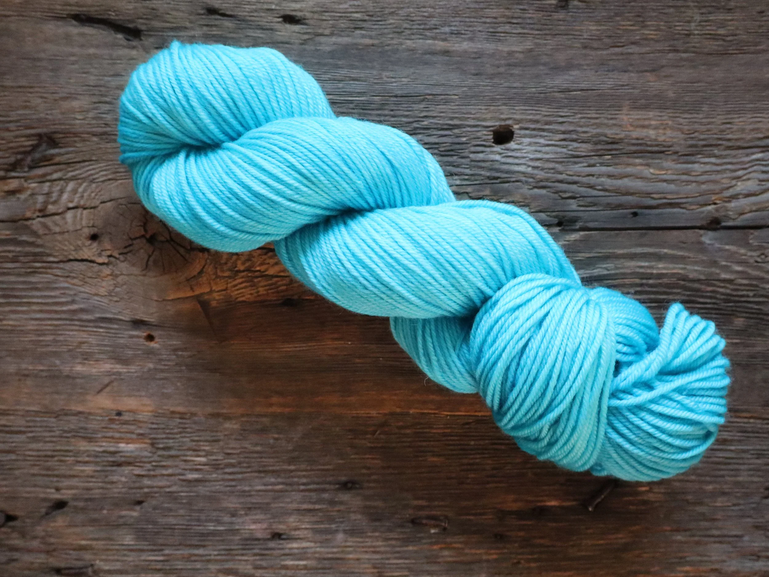 Playing Favorites - Kat - Wicked Nice Yarn.JPG