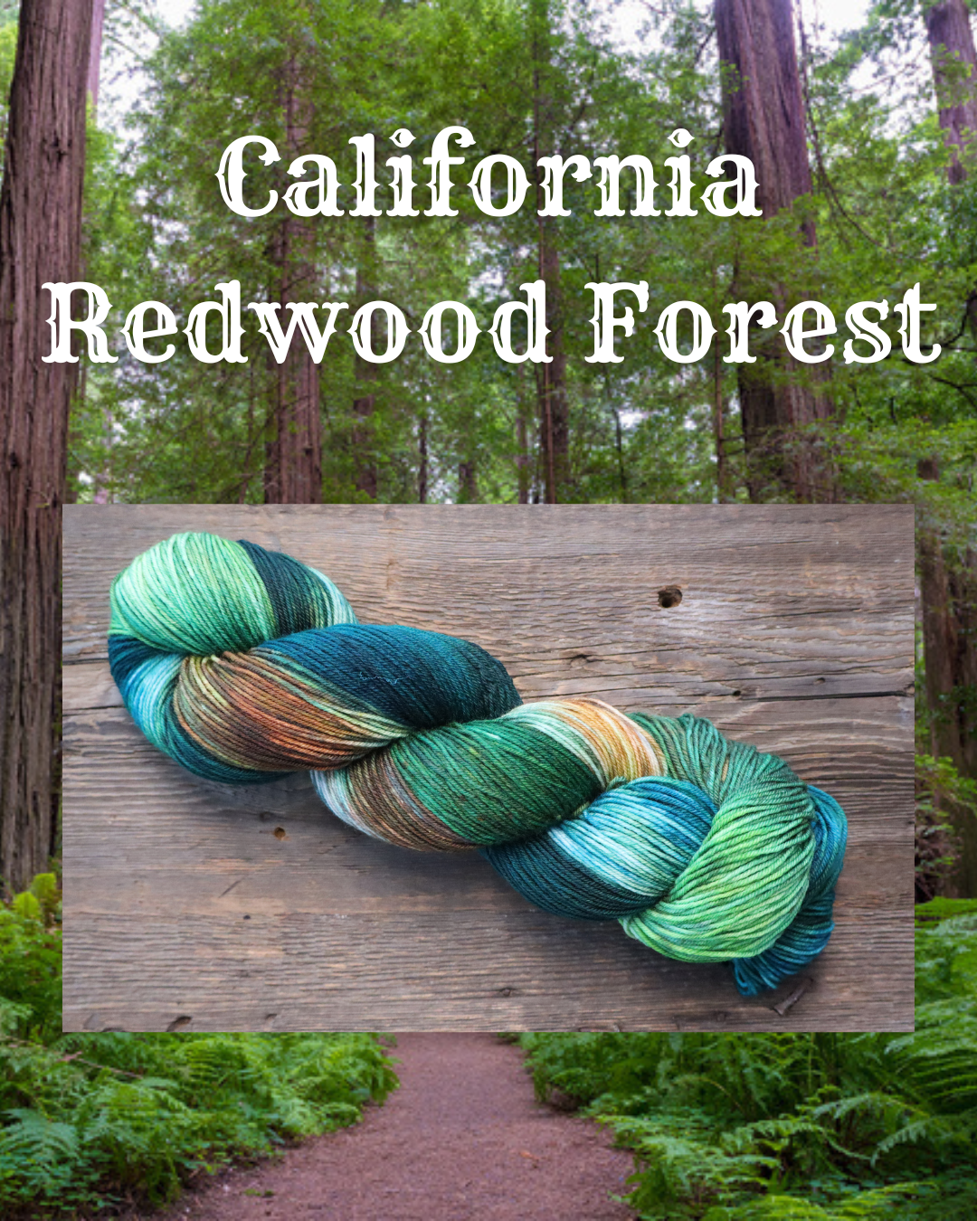 California Redwood Forest