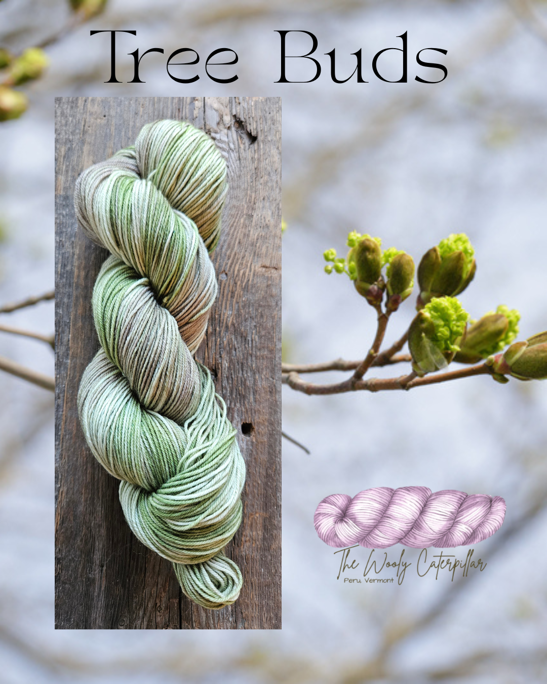 Tree Buds.png