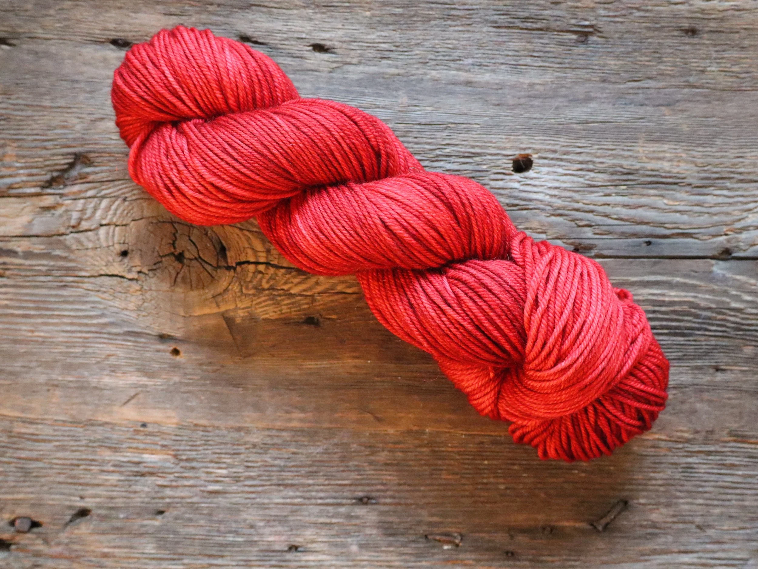 Playing Favorites - Tyler- Wicked Nice Yarn.JPG