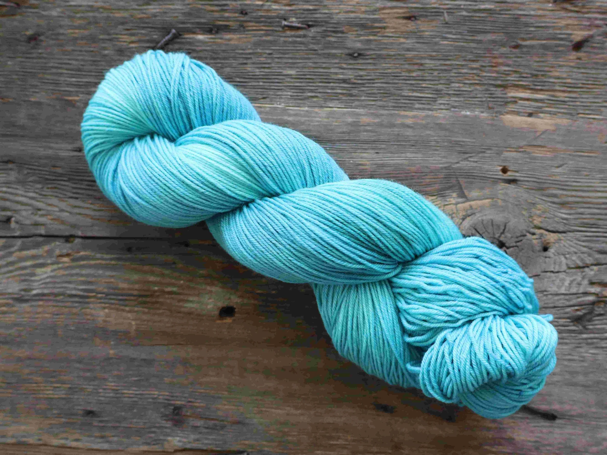 The American Robin: The Egg