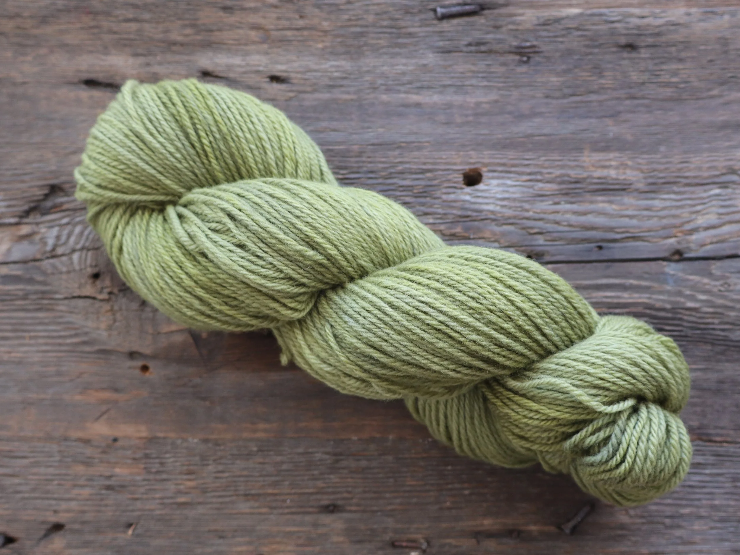 Moss on Styles Peak - Non-Superwash