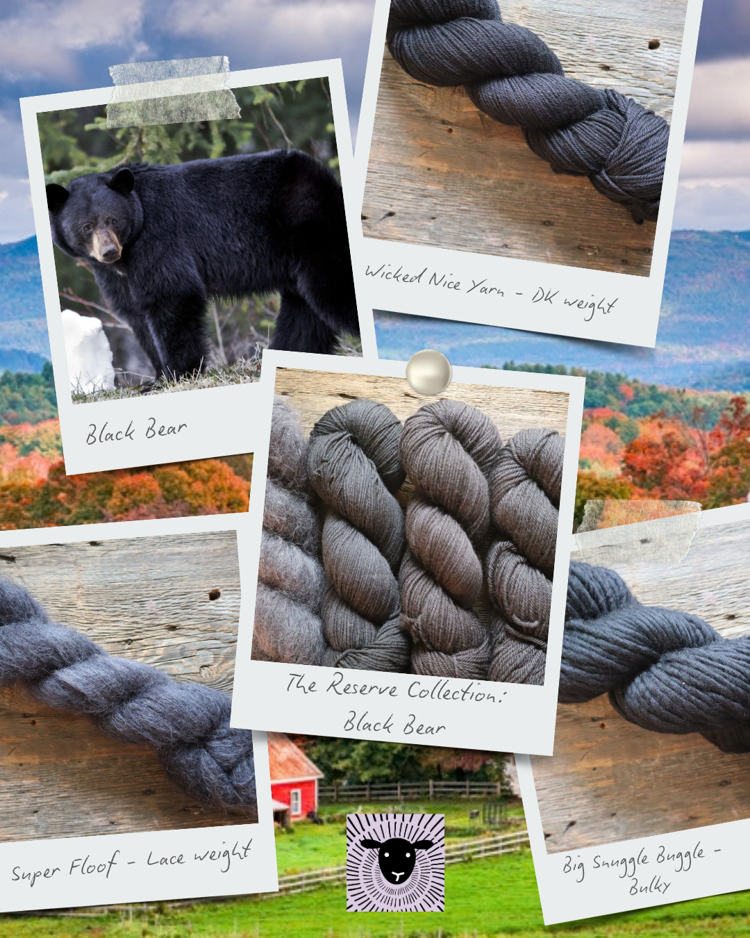 Black Bear collage.png
