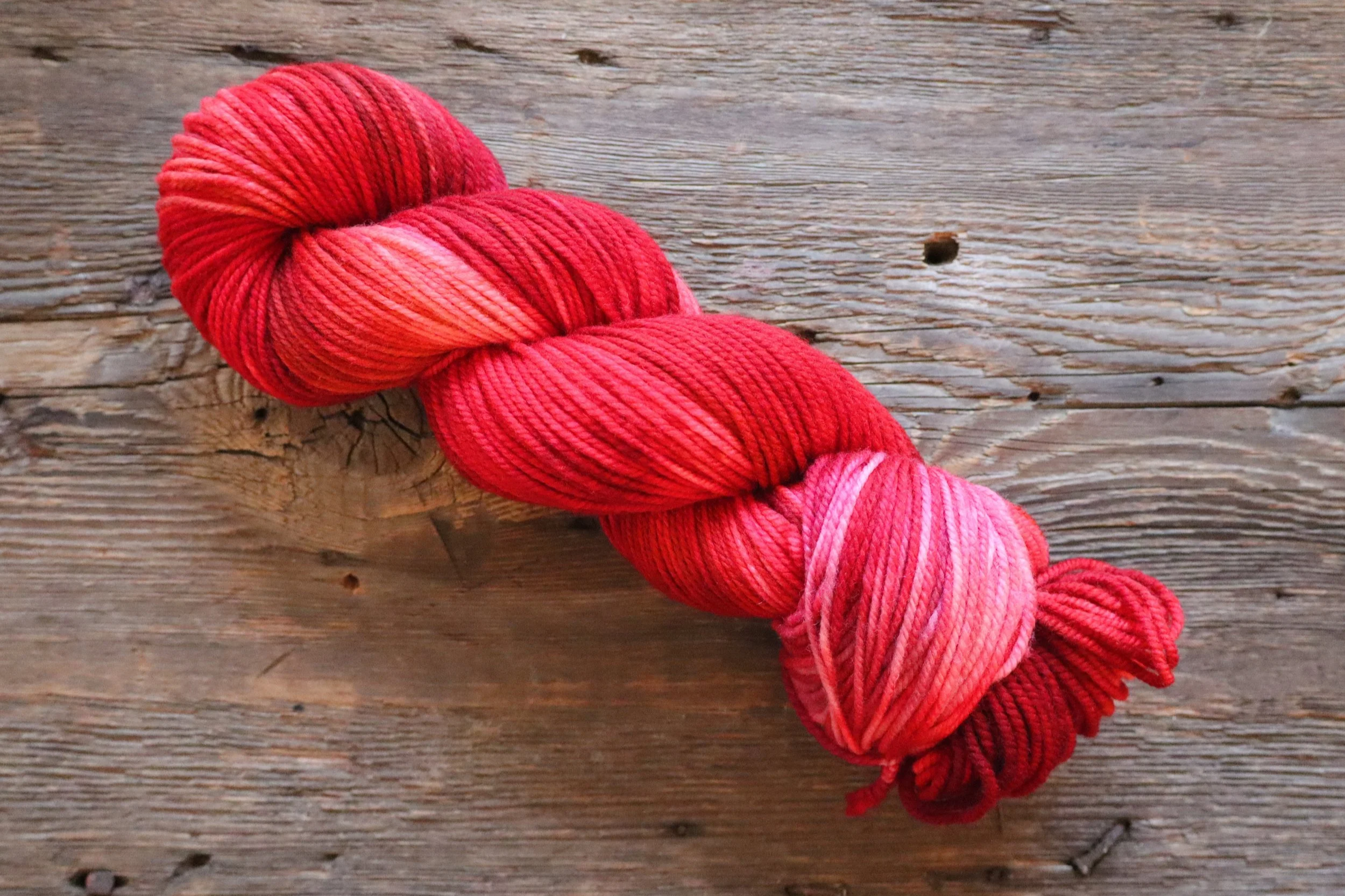 R.E.D. Volume 2 - Snuggly Shaniko