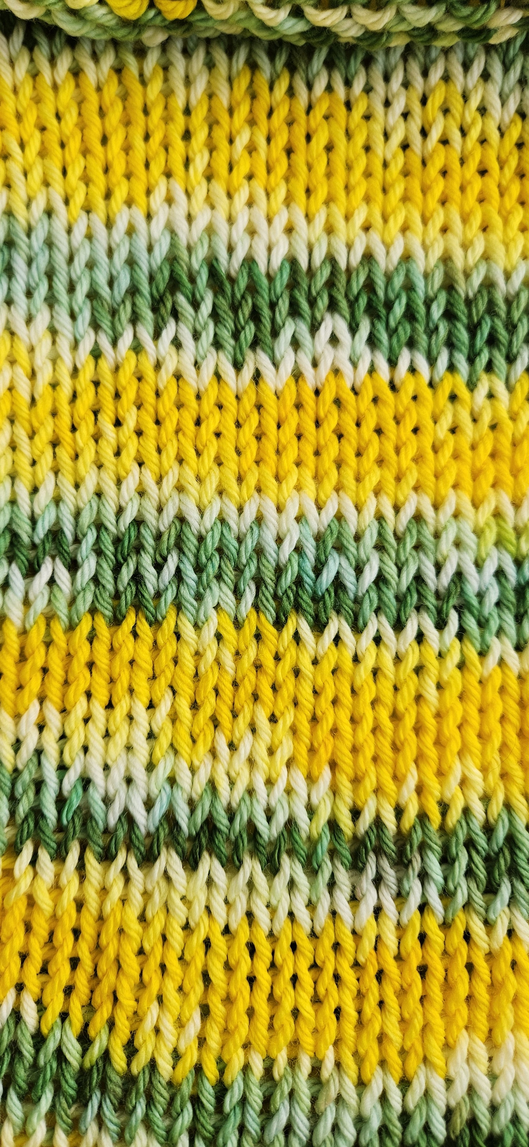 20260428_112639.jpg