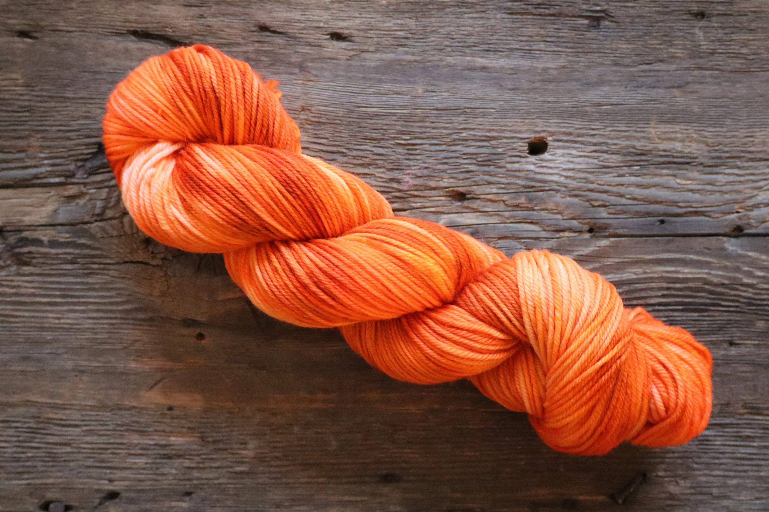 Pumpkin Patch - Wicked Nice Yarn