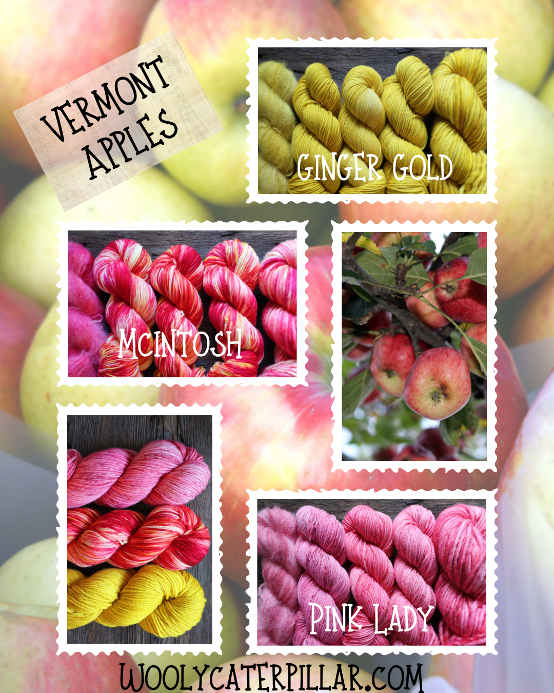 Vermont Apples Color Story -full.png