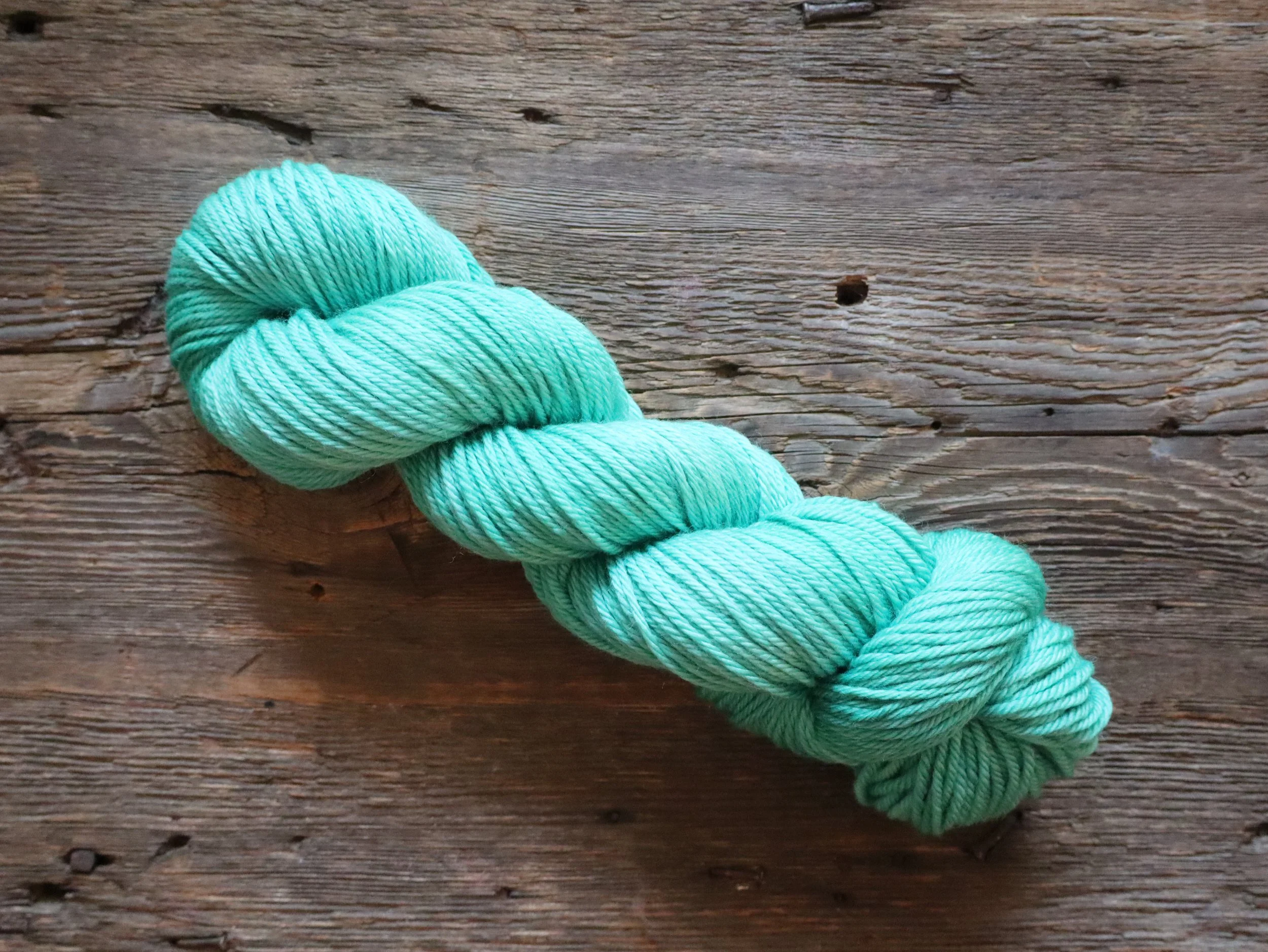 Playing Favorites - Oma Marion - Wicked Nice Yarn.JPG