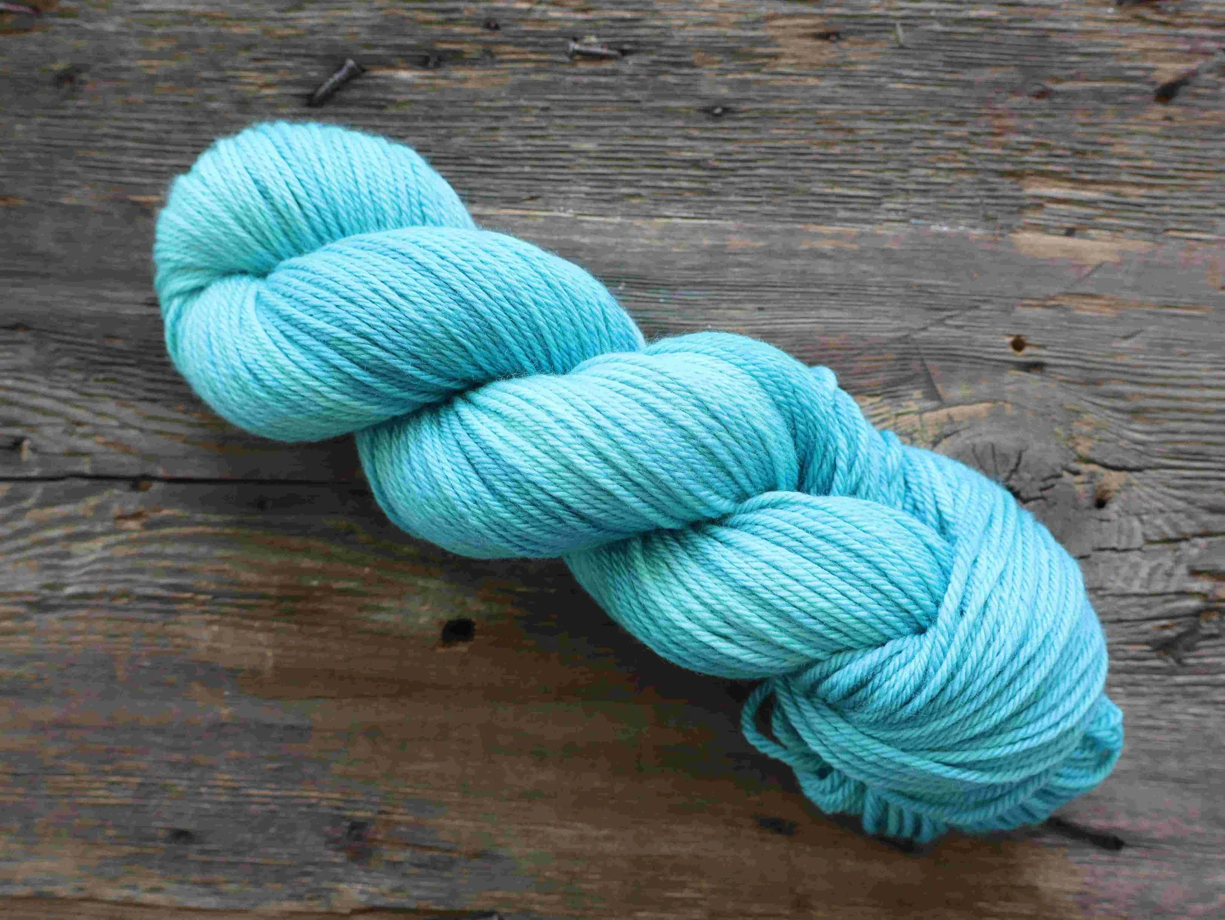 The American Robin: The Egg