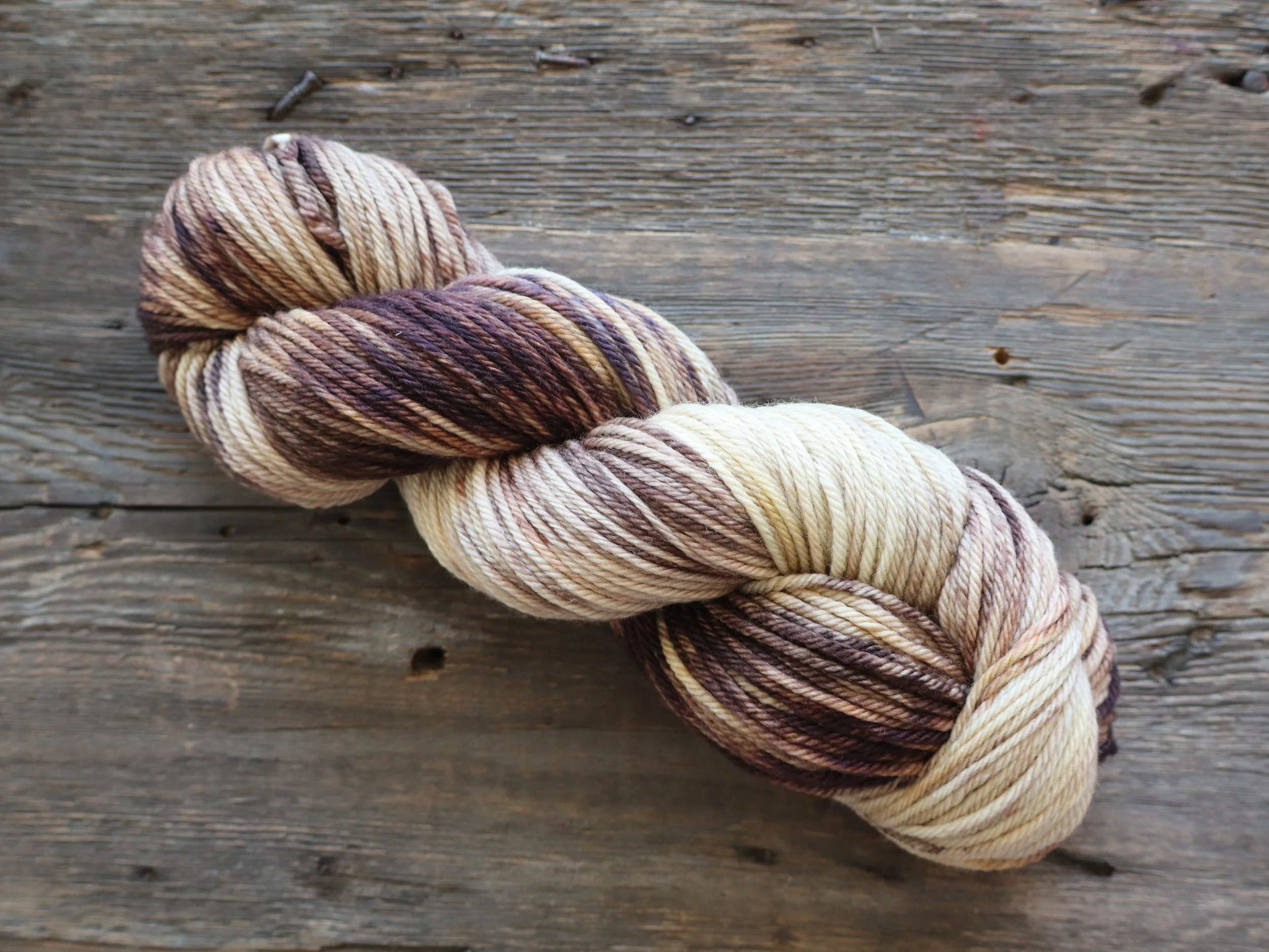 The American Robin: The Nest