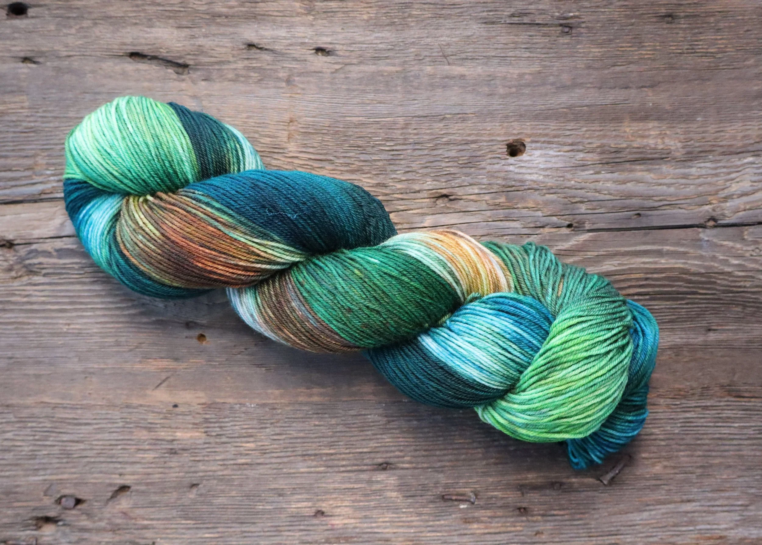 California Redwood Forest